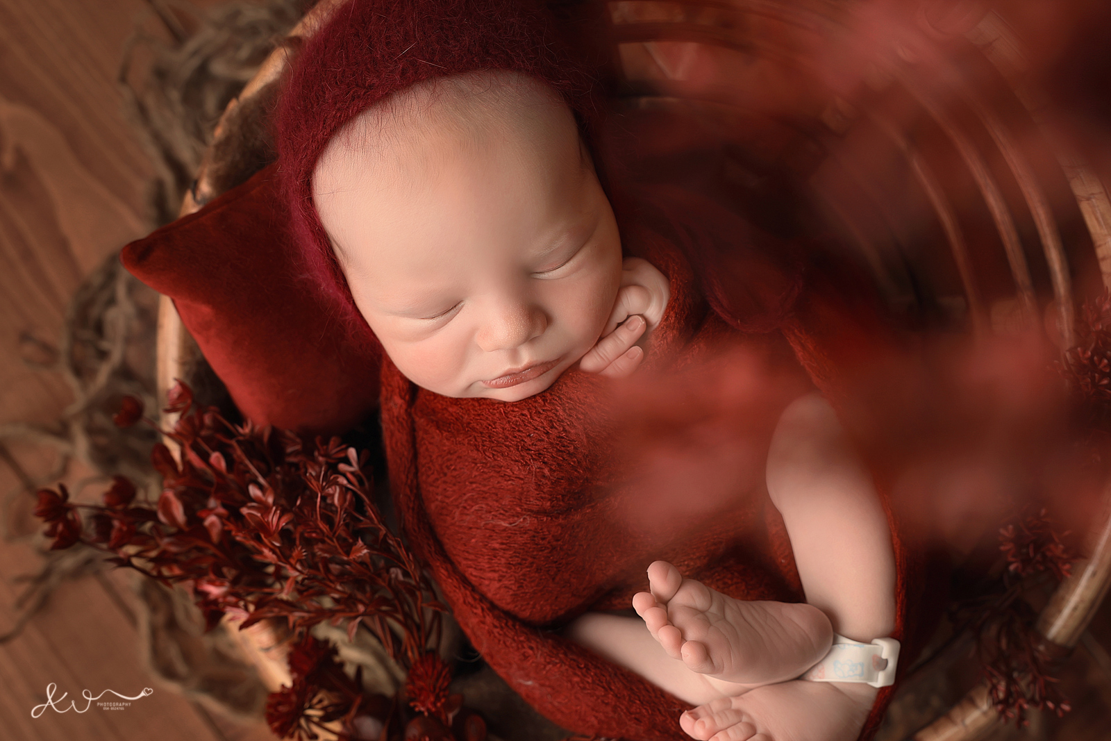 אילה וויג צלמת ניו בורן בבית הלקוח 0548524765 (2).JPG