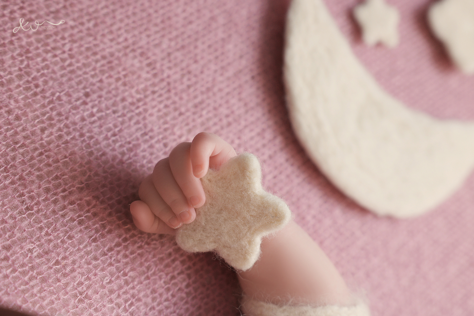 אילה וויג צלמת ניו בורן בבית הלקוח 0548524765 (3).JPG