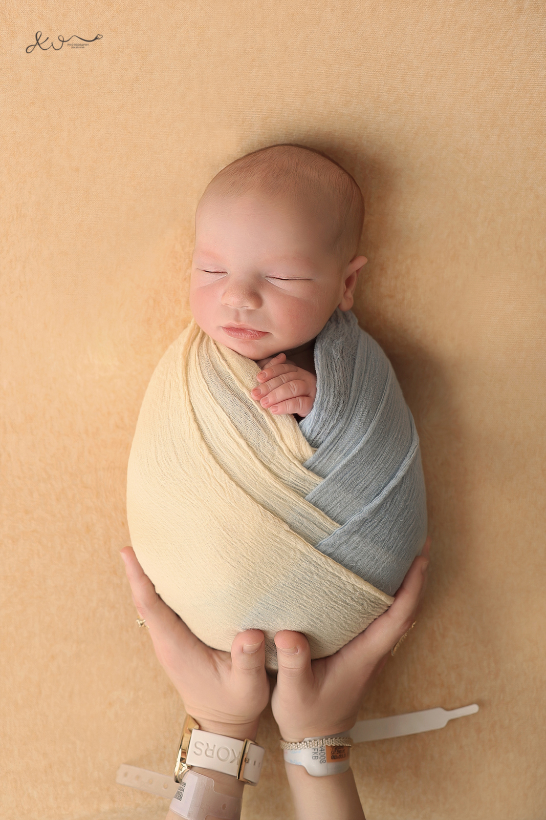 אילה וויג צלמת ניו בורן בבית הלקוח 0548524765 (7).JPG