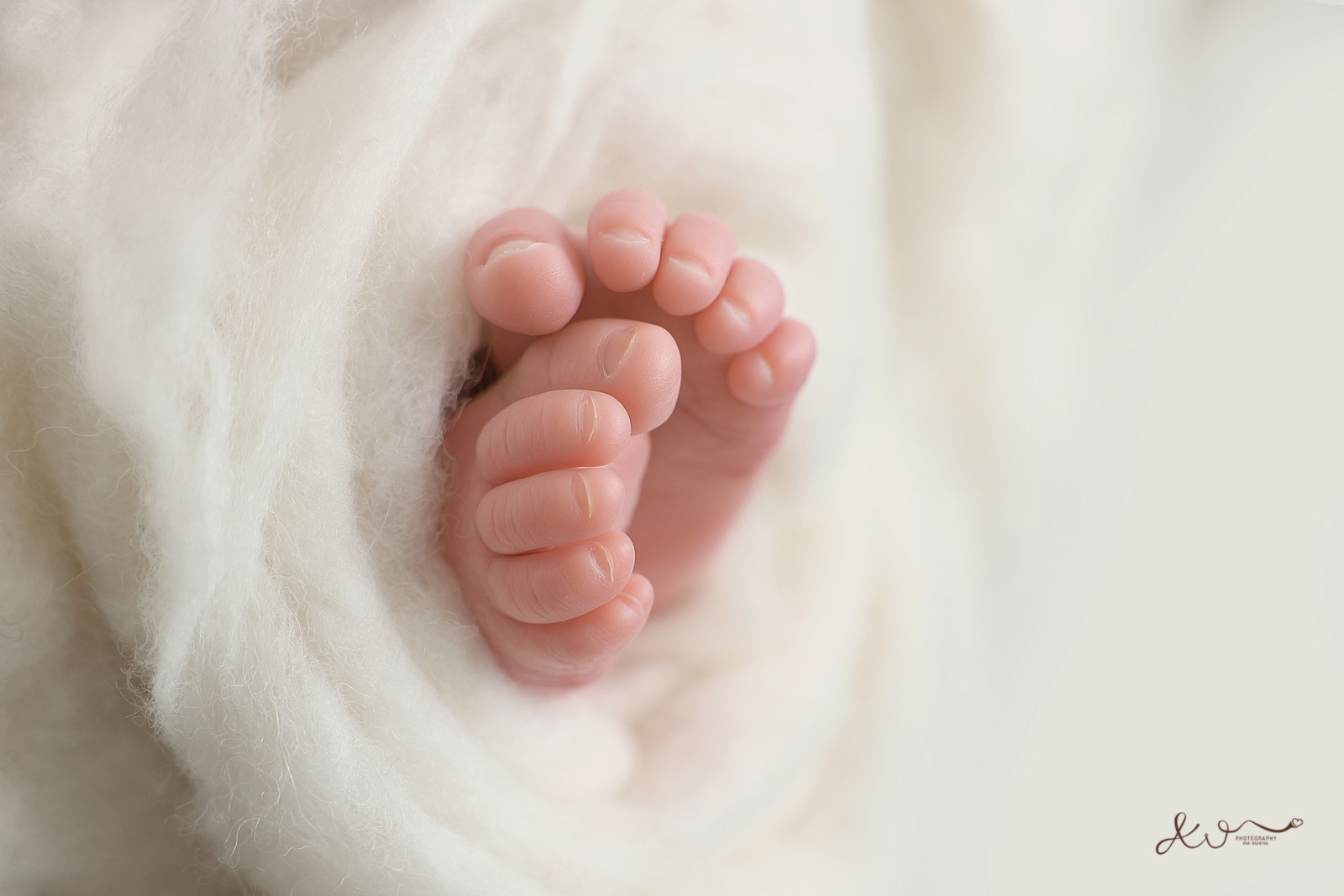 אילה וויג צלמת ניו בורן בבית הלקוח 0548524765 (78).JPG