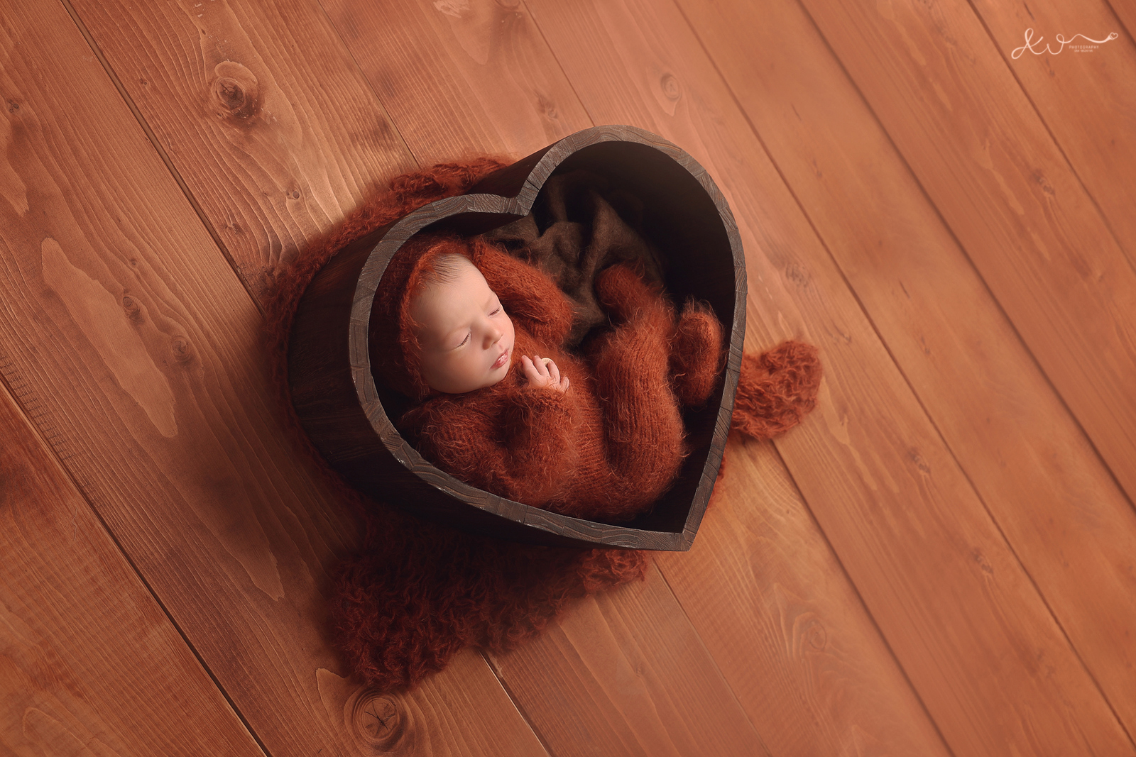 אילה וויג צלמת ניו בורן 0548524765 (21).jpg