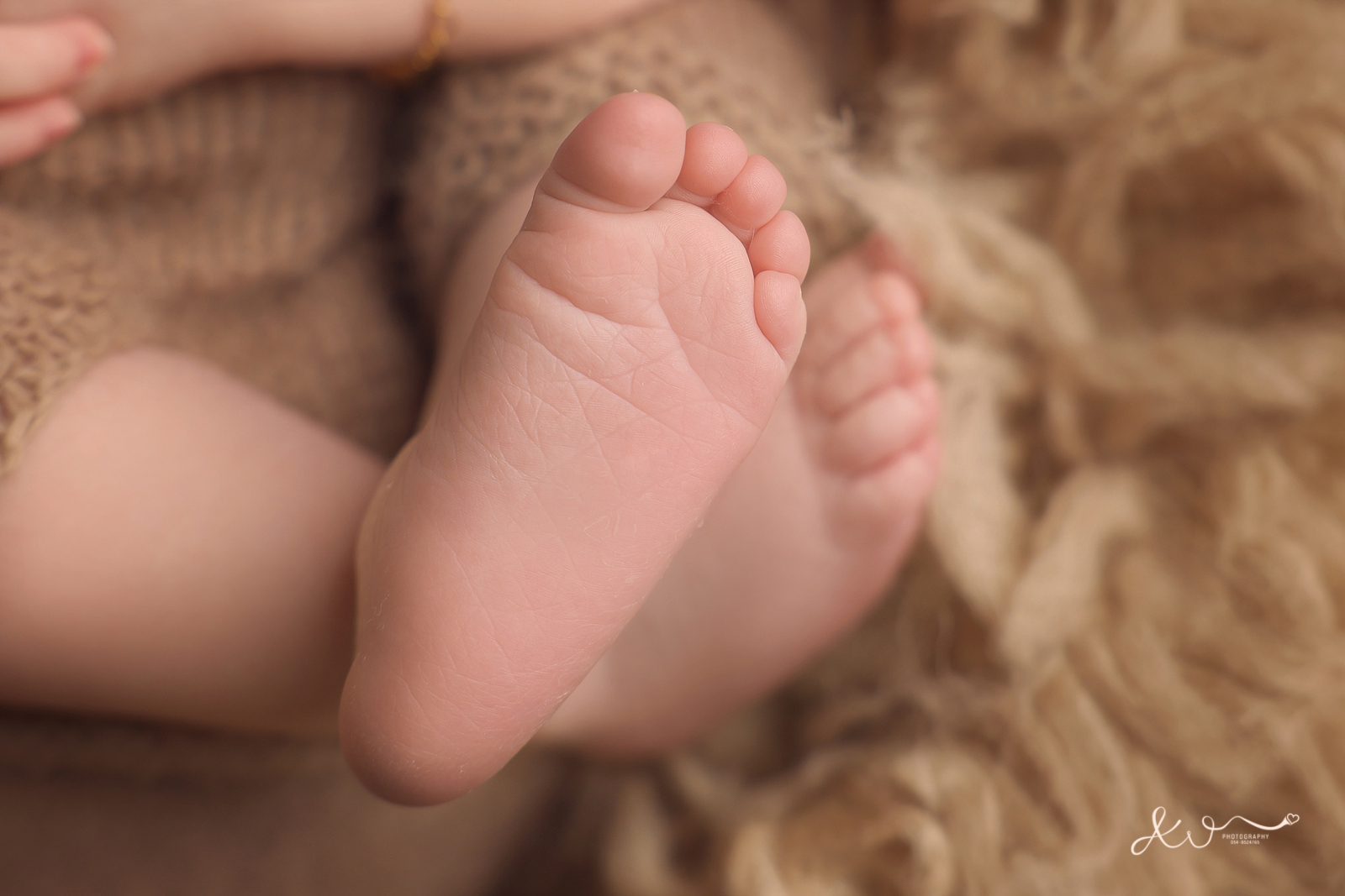 אילה וויג צלמת ניו בורן 0548524765 (38).jpg