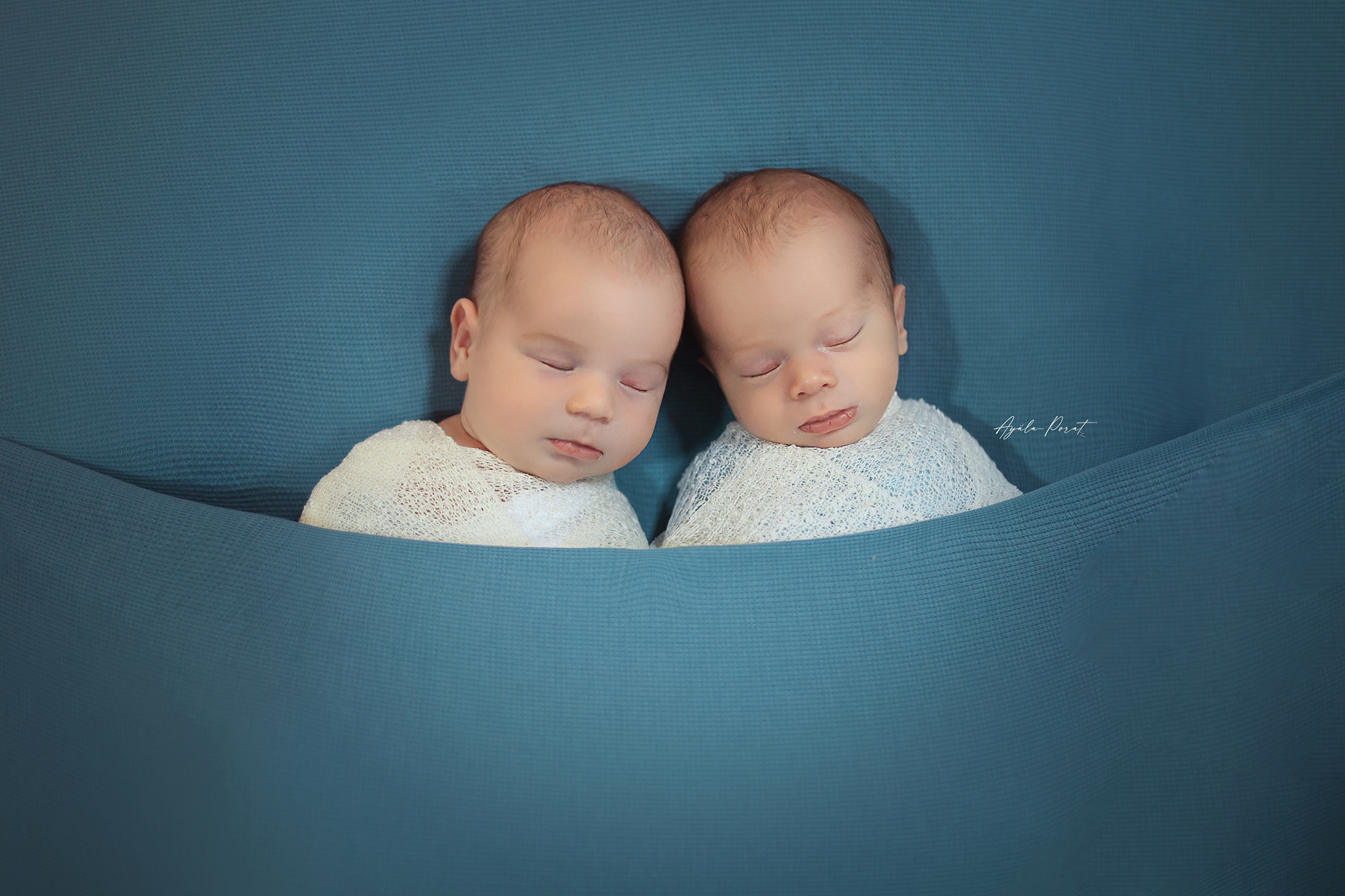 אילה פורת (10).jpg