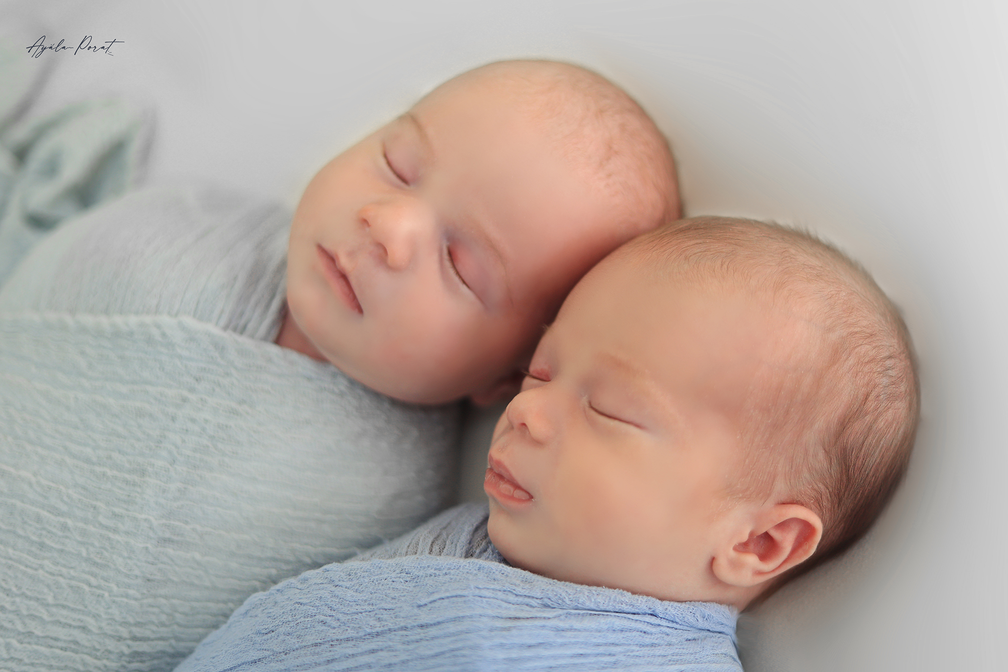 אילה פורת (2).jpg