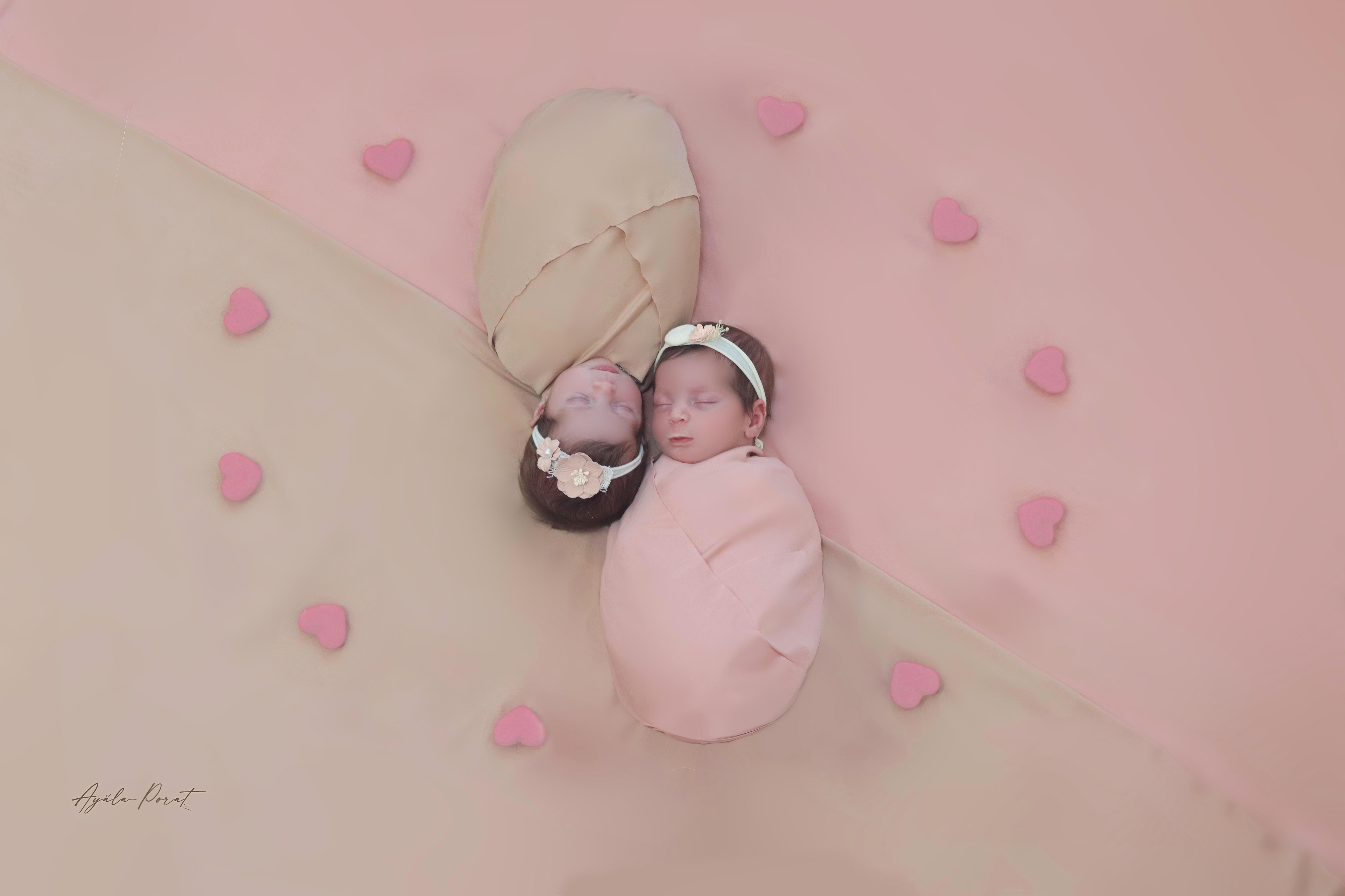 אילה פורת 3.jpg