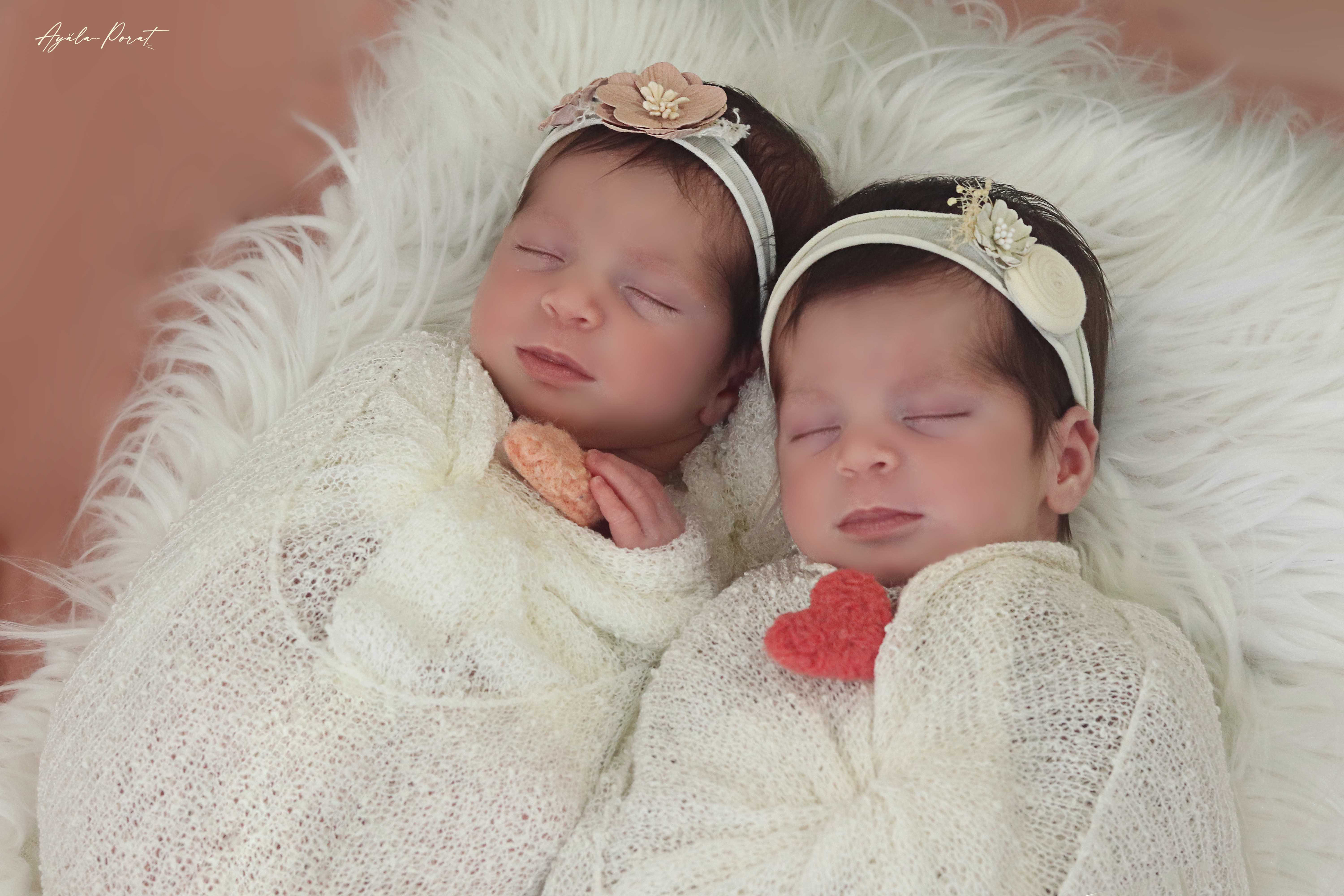 אילה פורת 6.jpg