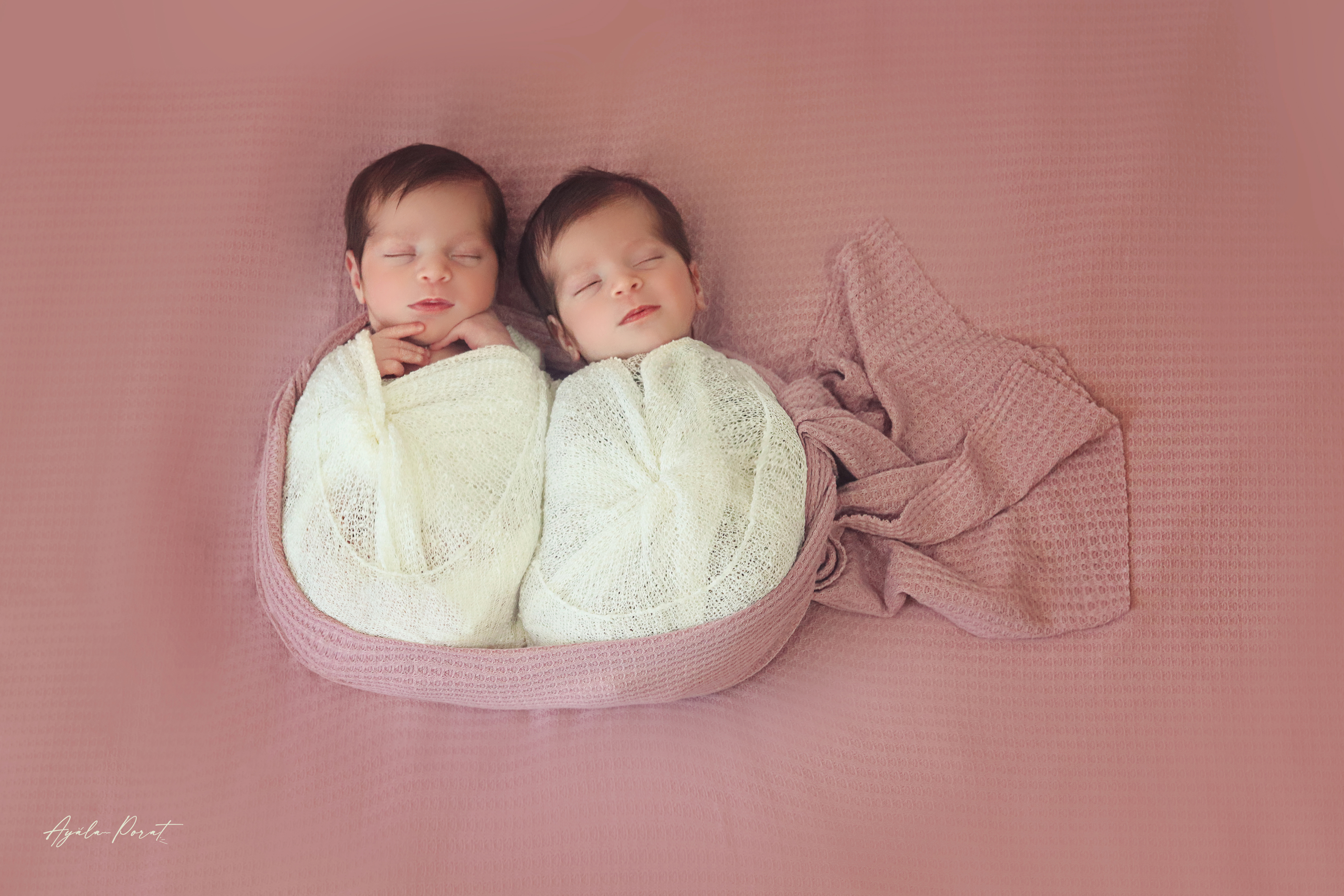 אילה פורת.jpg