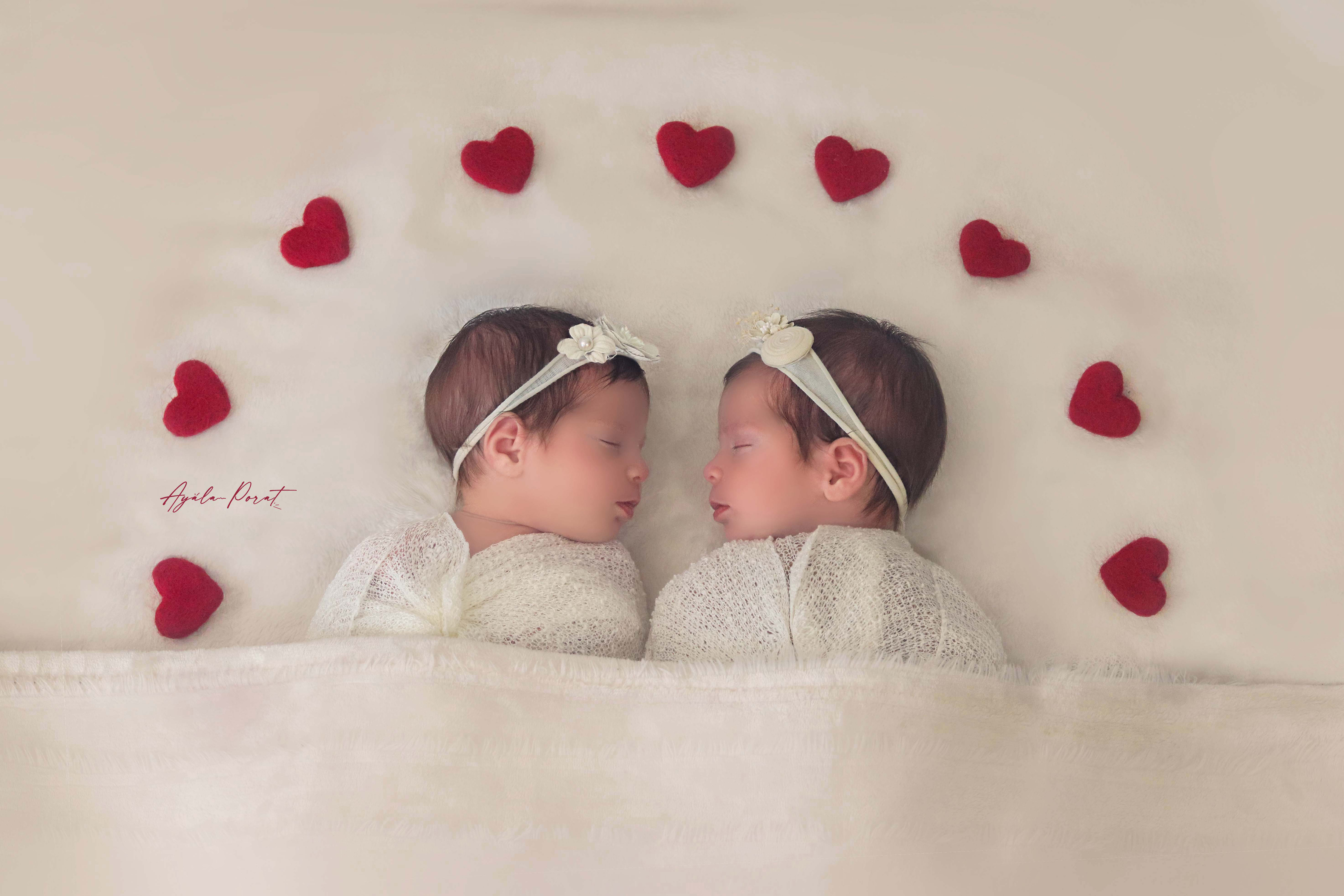 אילה פורת4.jpg