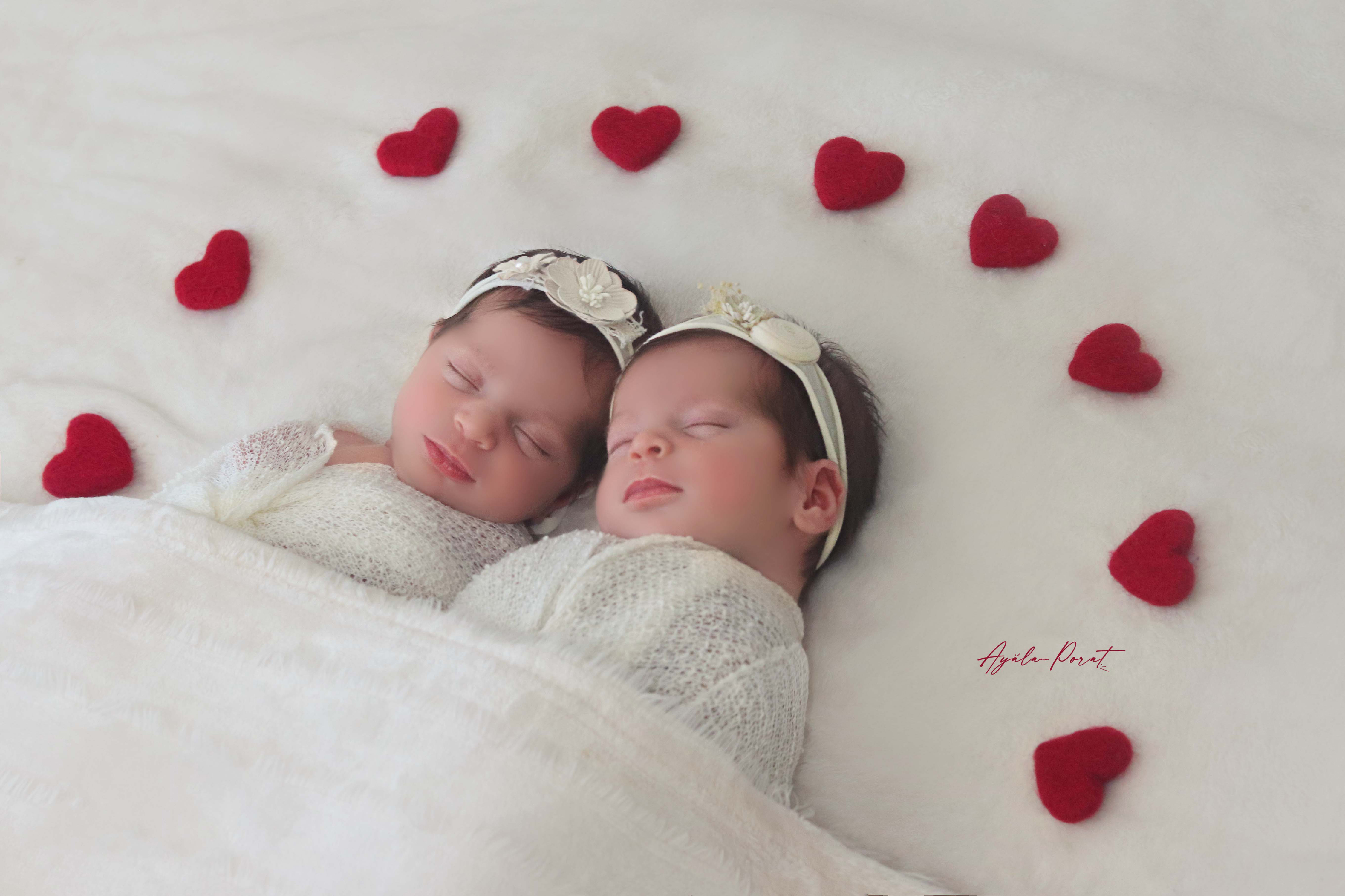 אילה פורת5.jpg