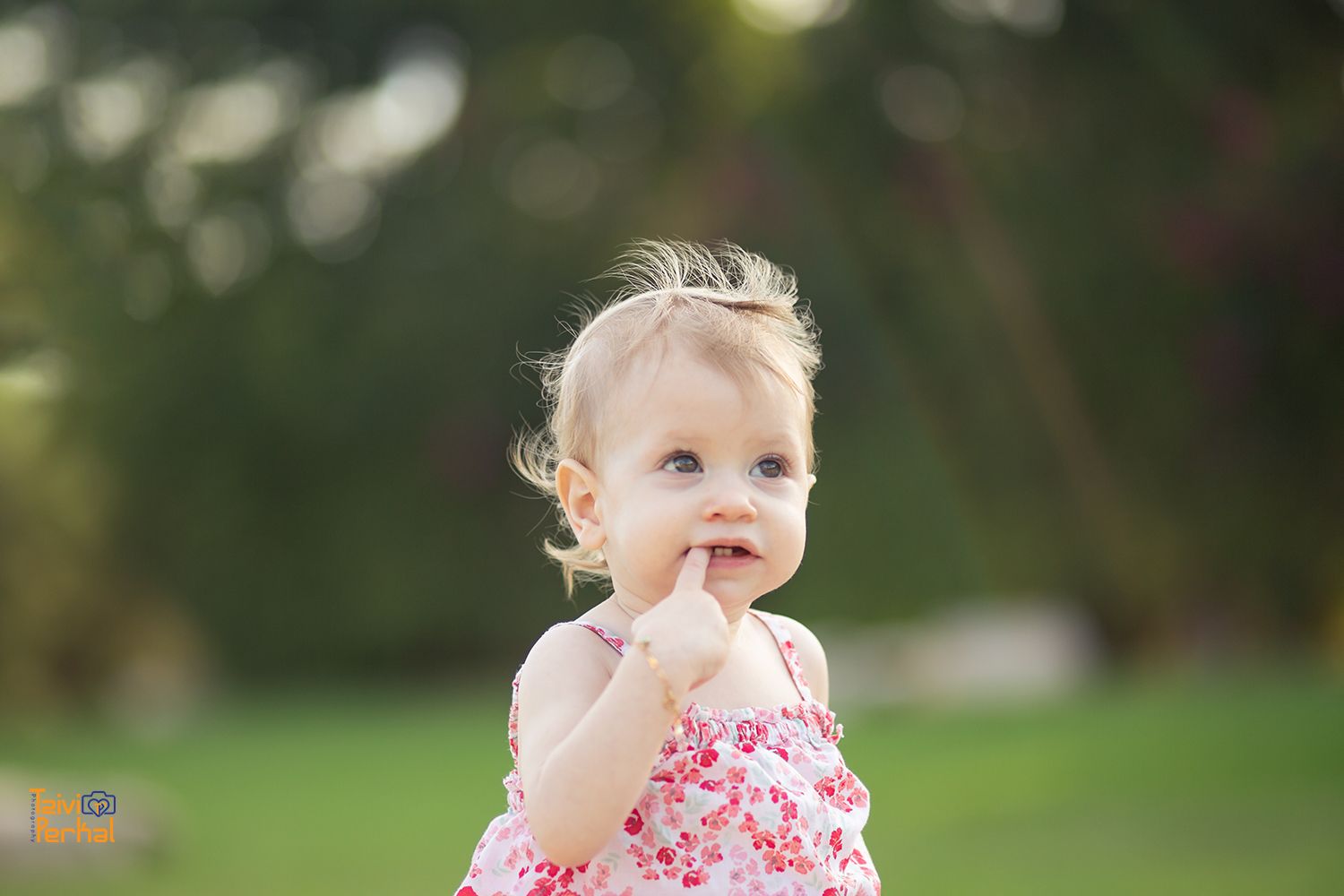 אילה 2 מוקטן.jpg