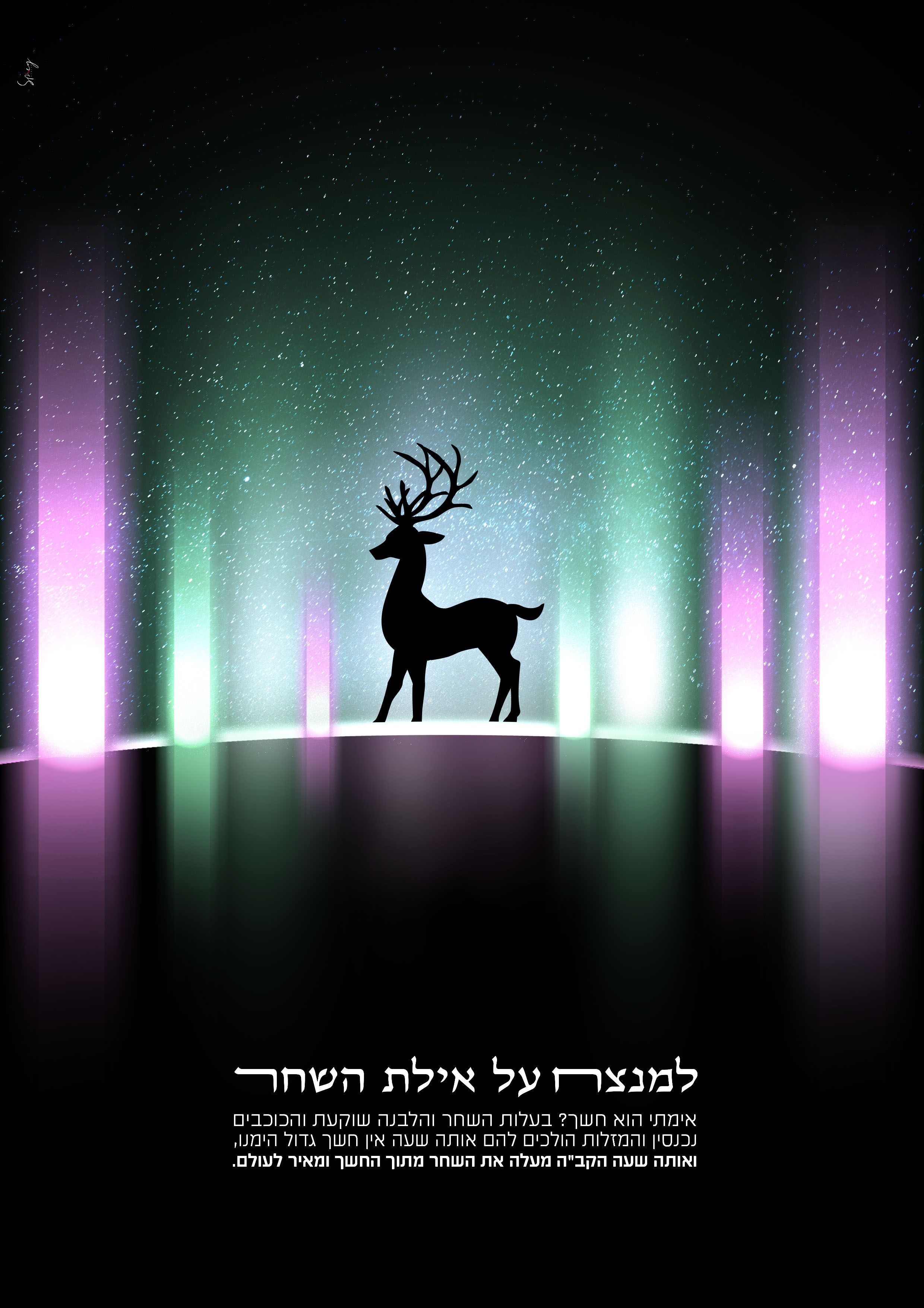 אילת לפרוג.jpg