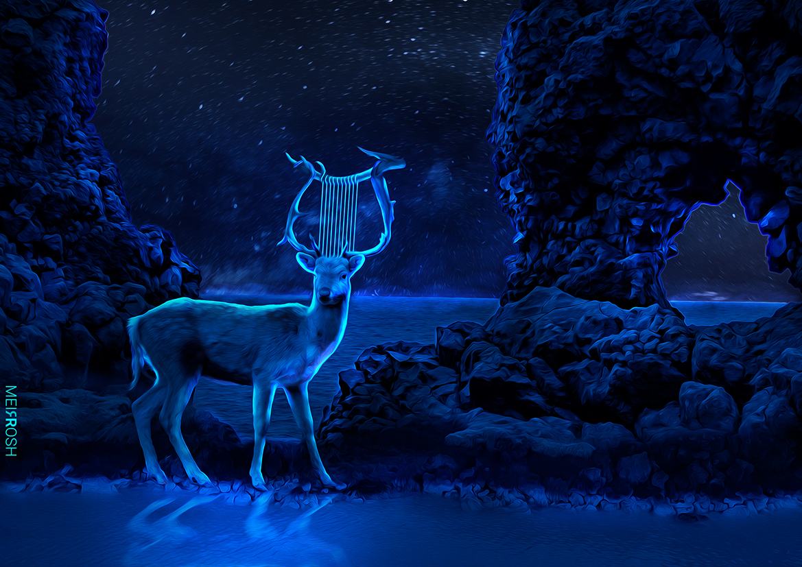 איל נבל לילה MeirRoshDesign.jpg