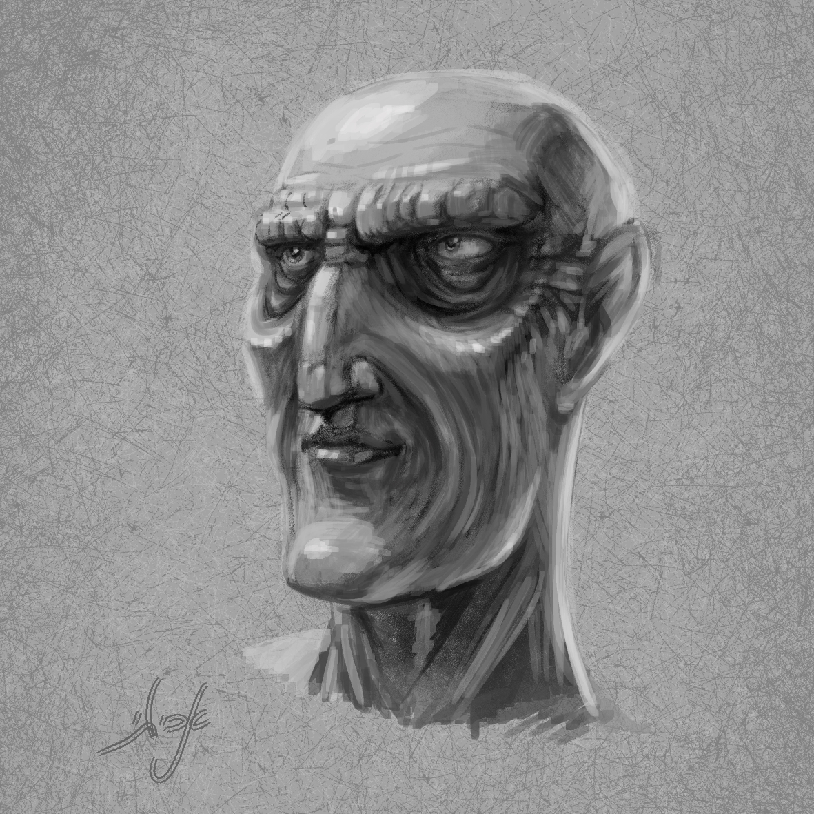 אימון בוואליוז 2.jpg