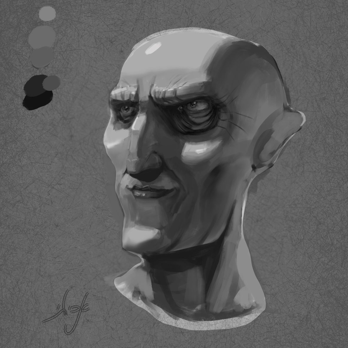 אימון בוואליוז 3.jpg