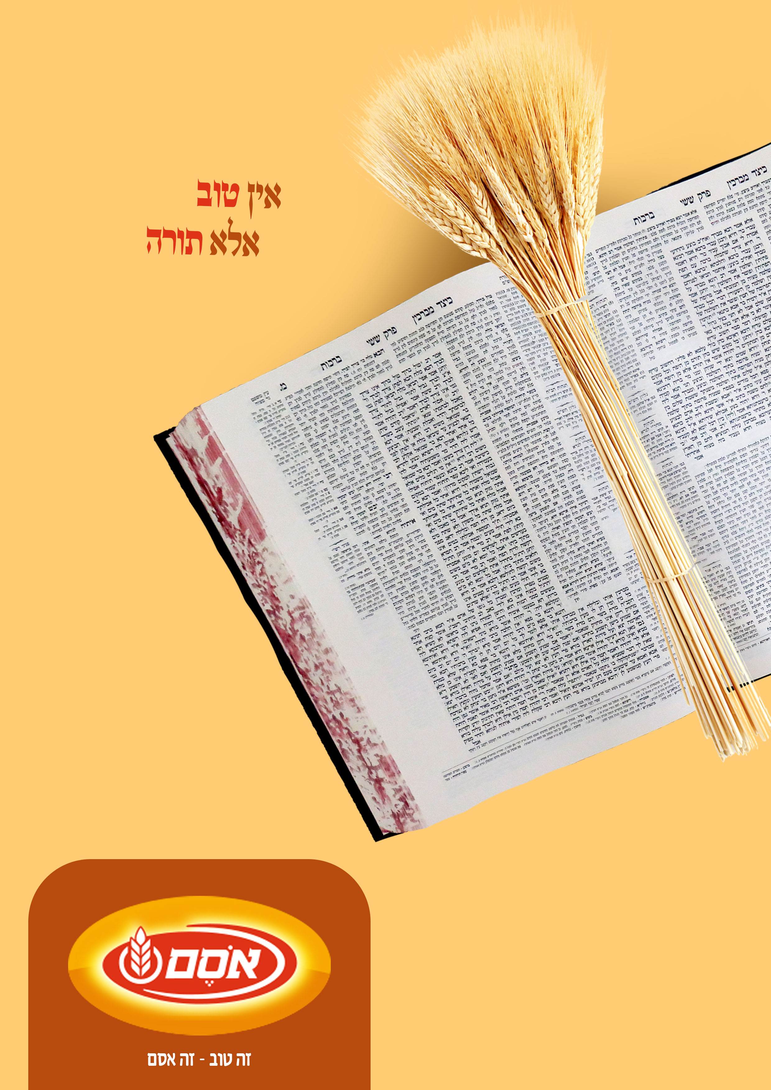 אין טוב אלא תורה.jpg