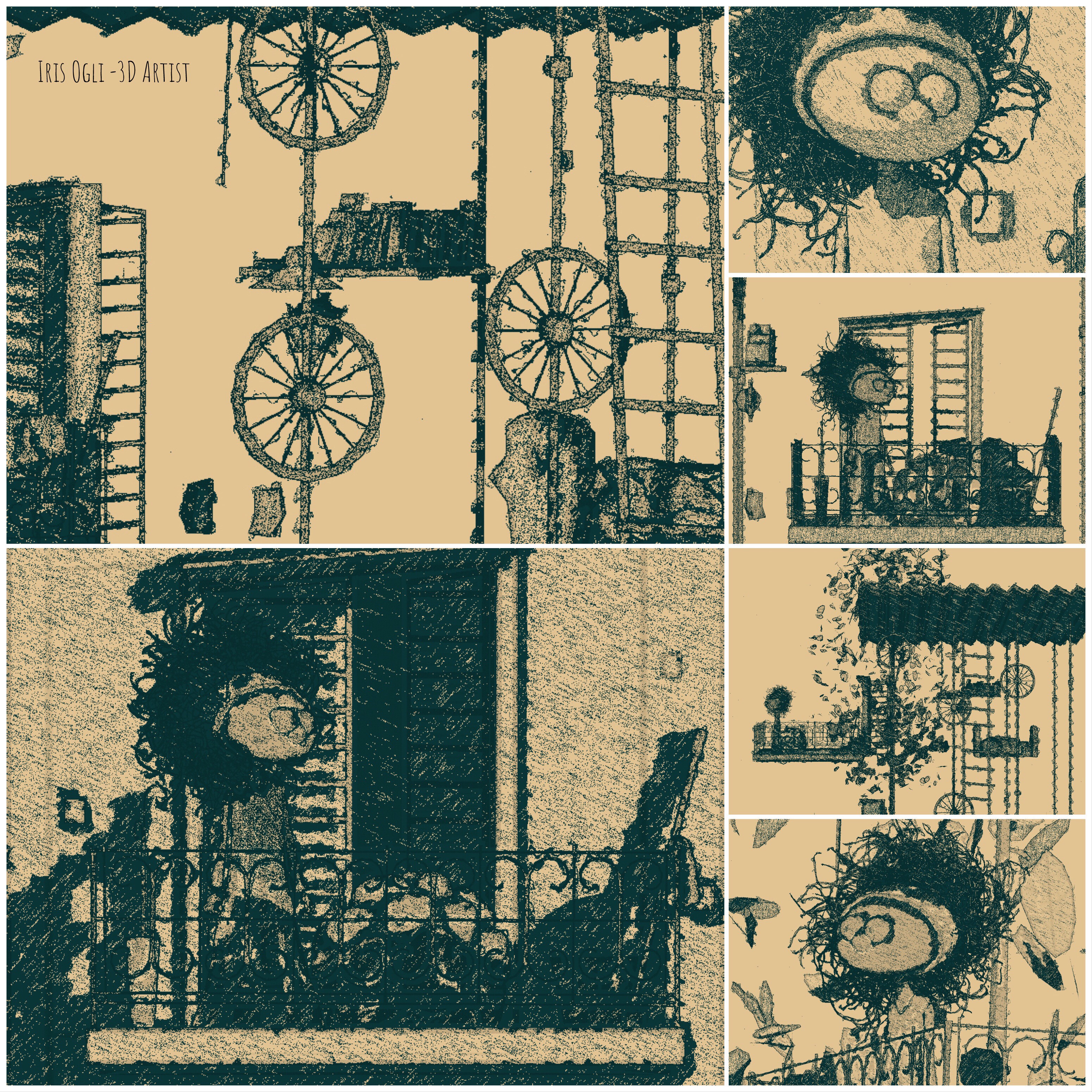 איריס אוגלי.jpg