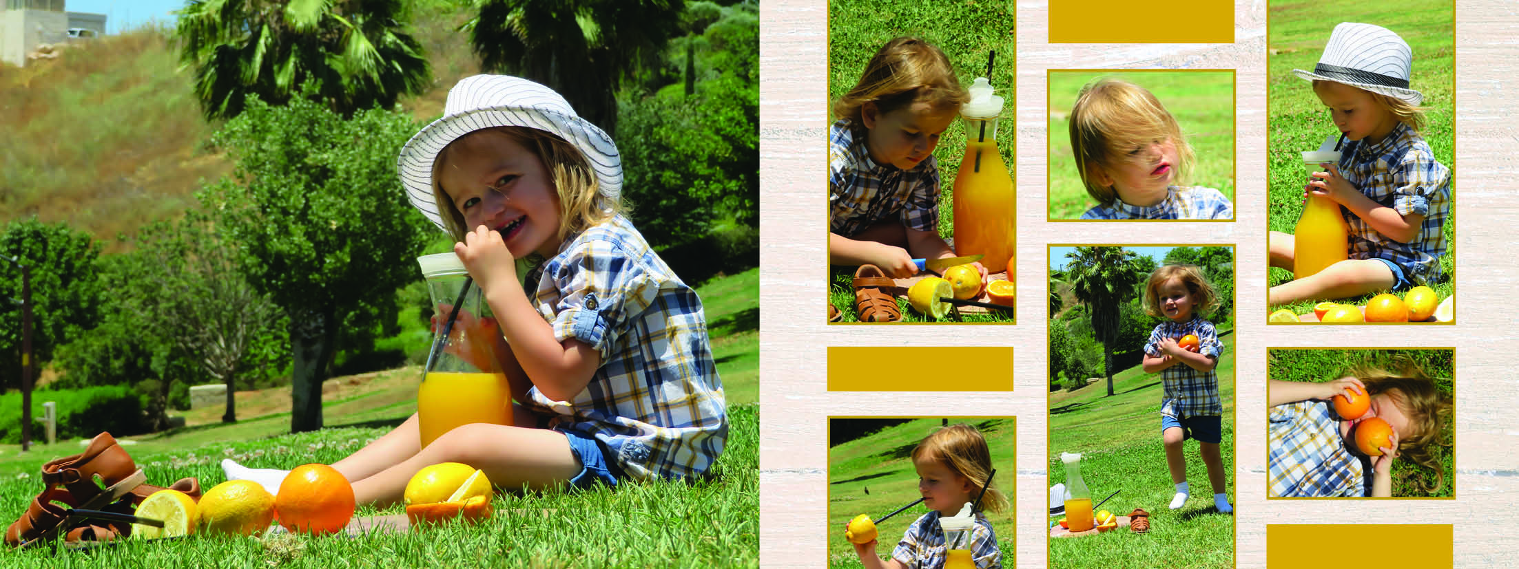 אלבום יהודה11.jpg