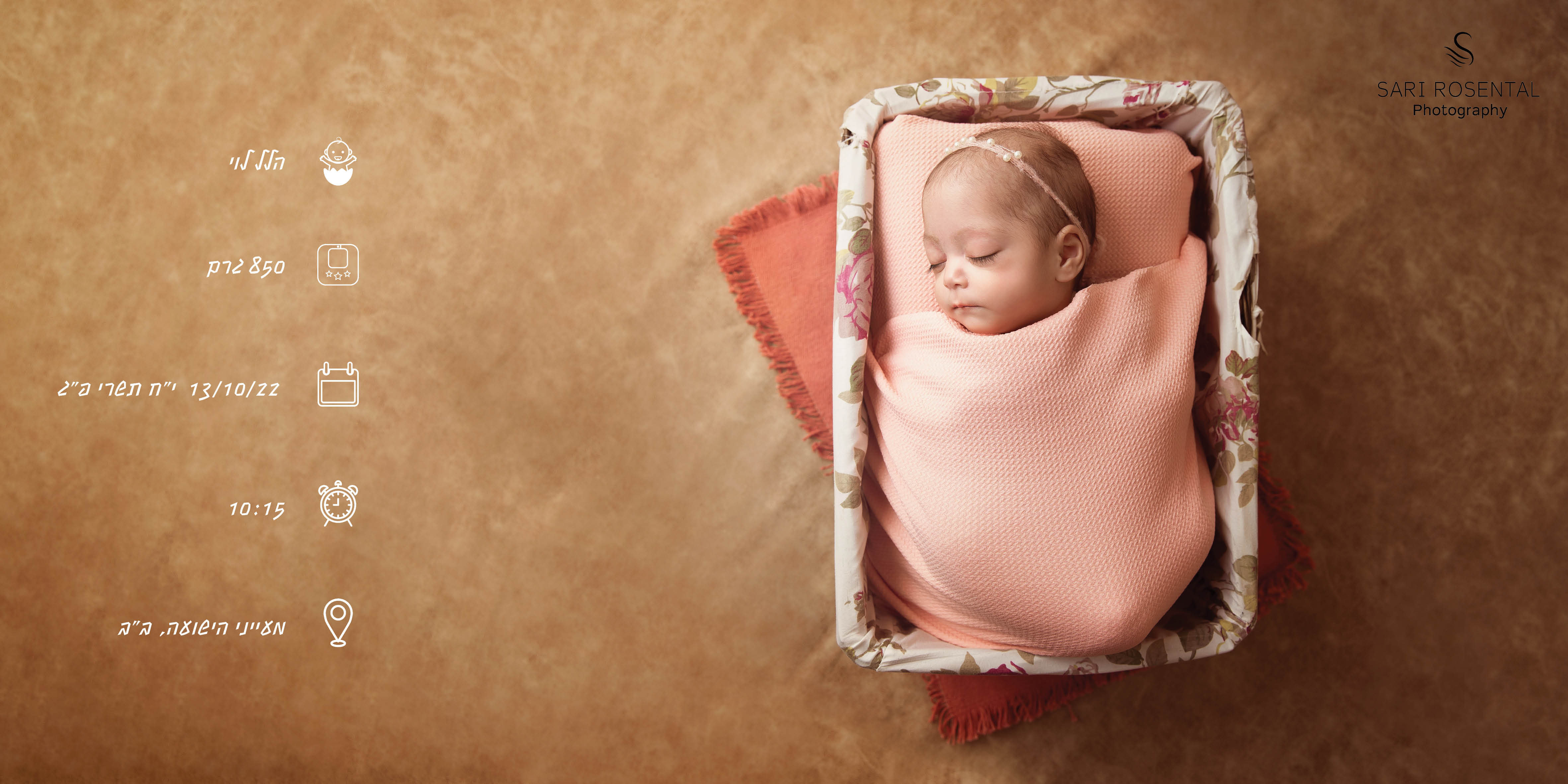 אלבום לוגו.jpg