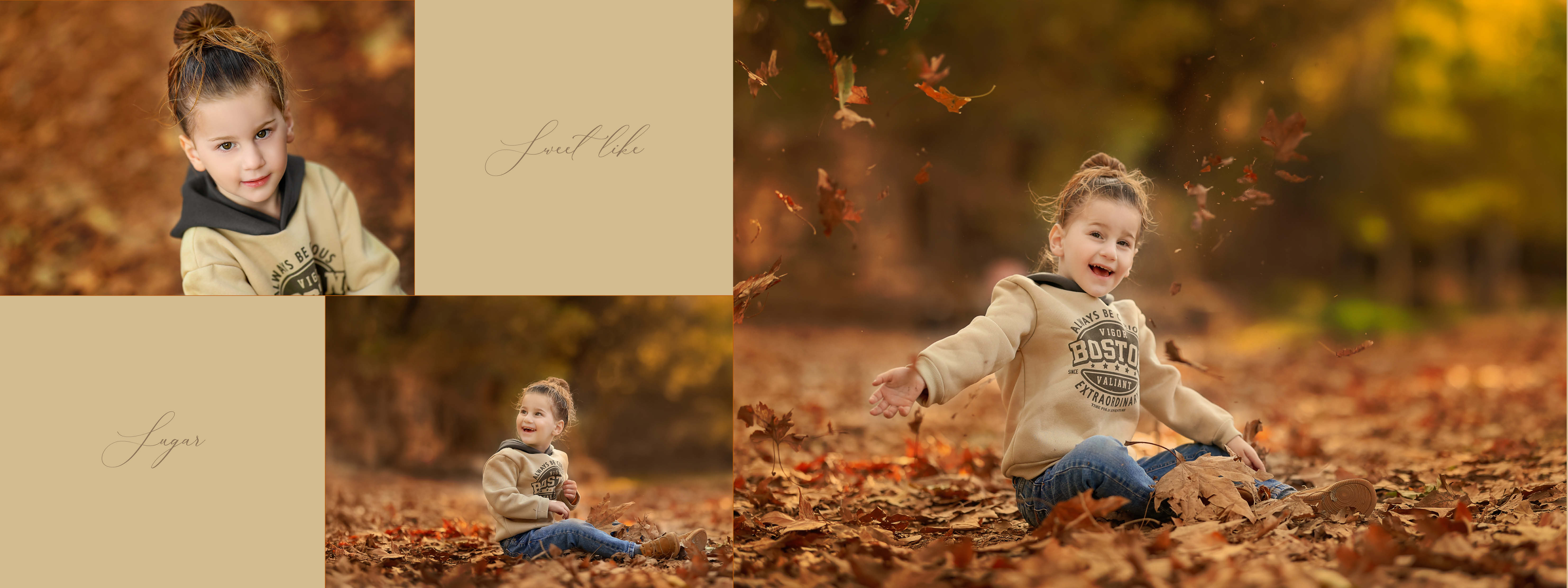 אלבום 05832468245.jpg