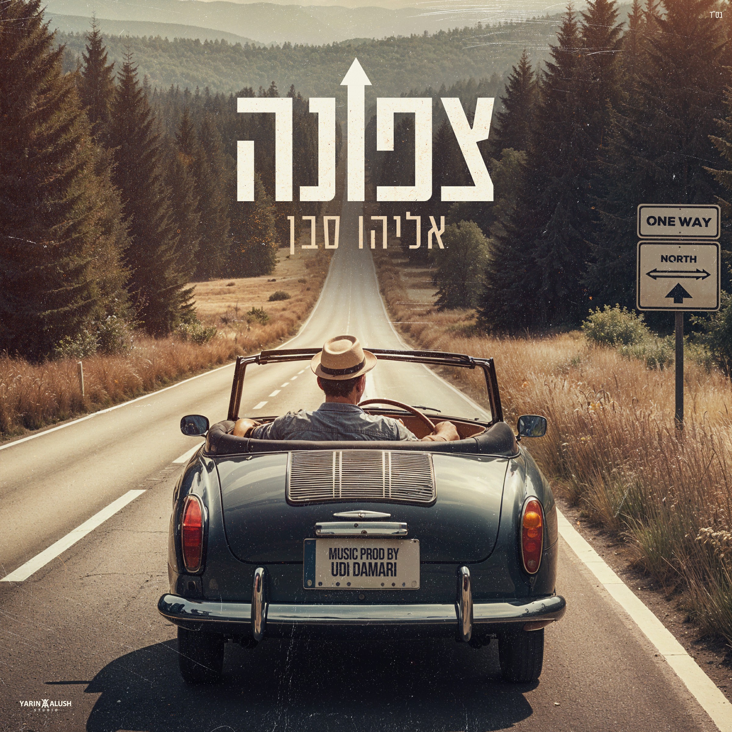 אליהו סבן - צפונה.jpg
