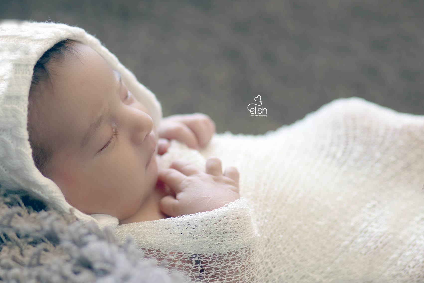 אלישבע לפרוג 2.jpg