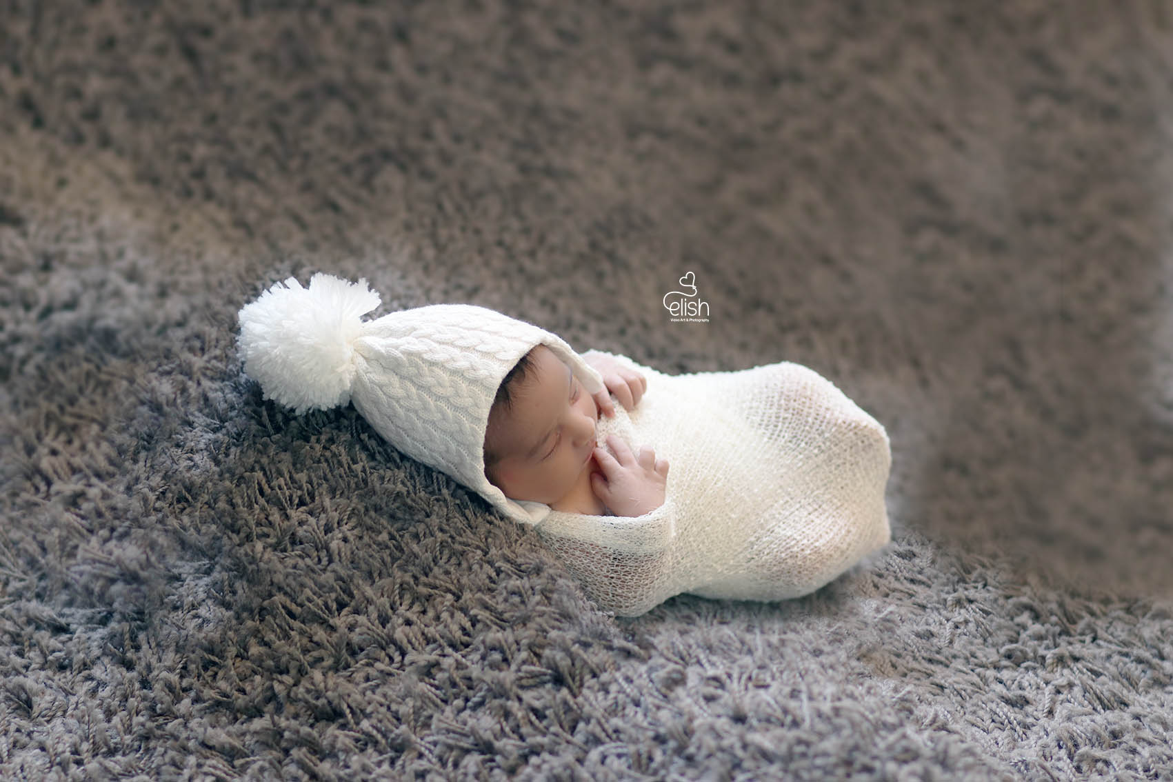 אלישבע לפרוג.jpg