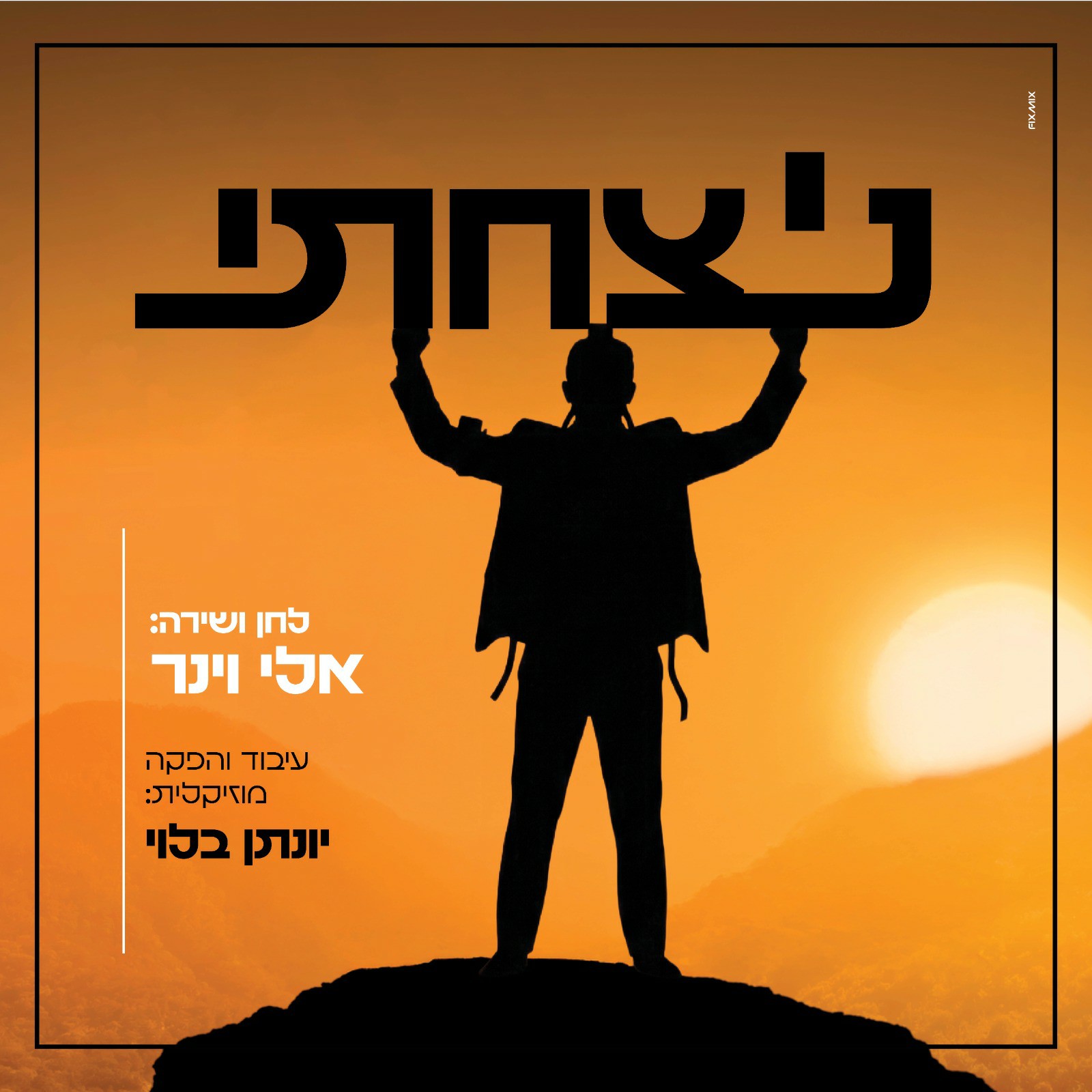 אלי וינר - ניצחתי.jpg