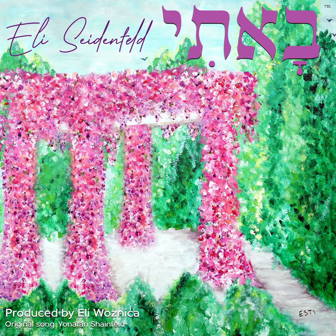 אלי זיידנפלד - באתי.jpg