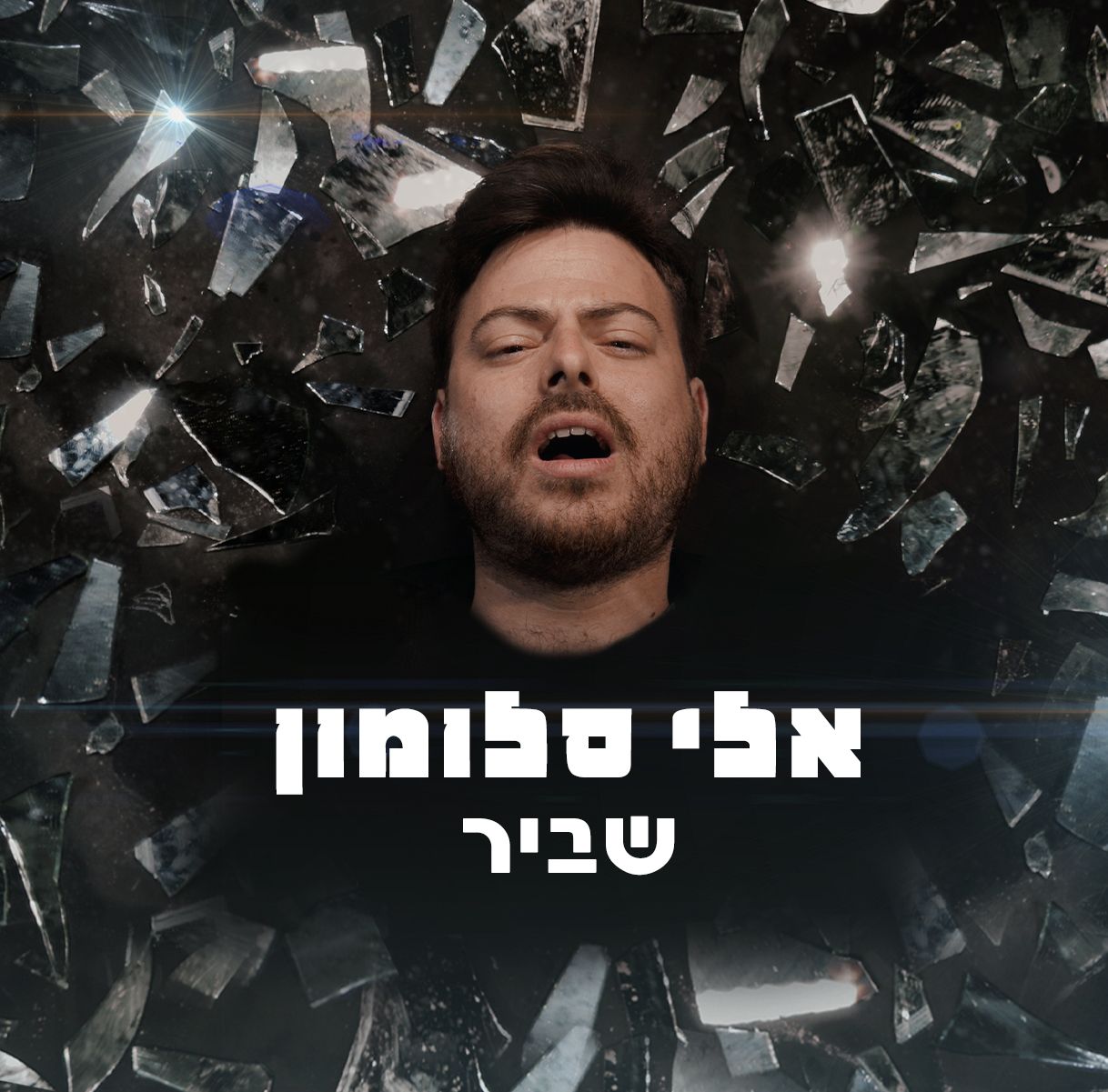 אלי סלומון - שביר.jpg