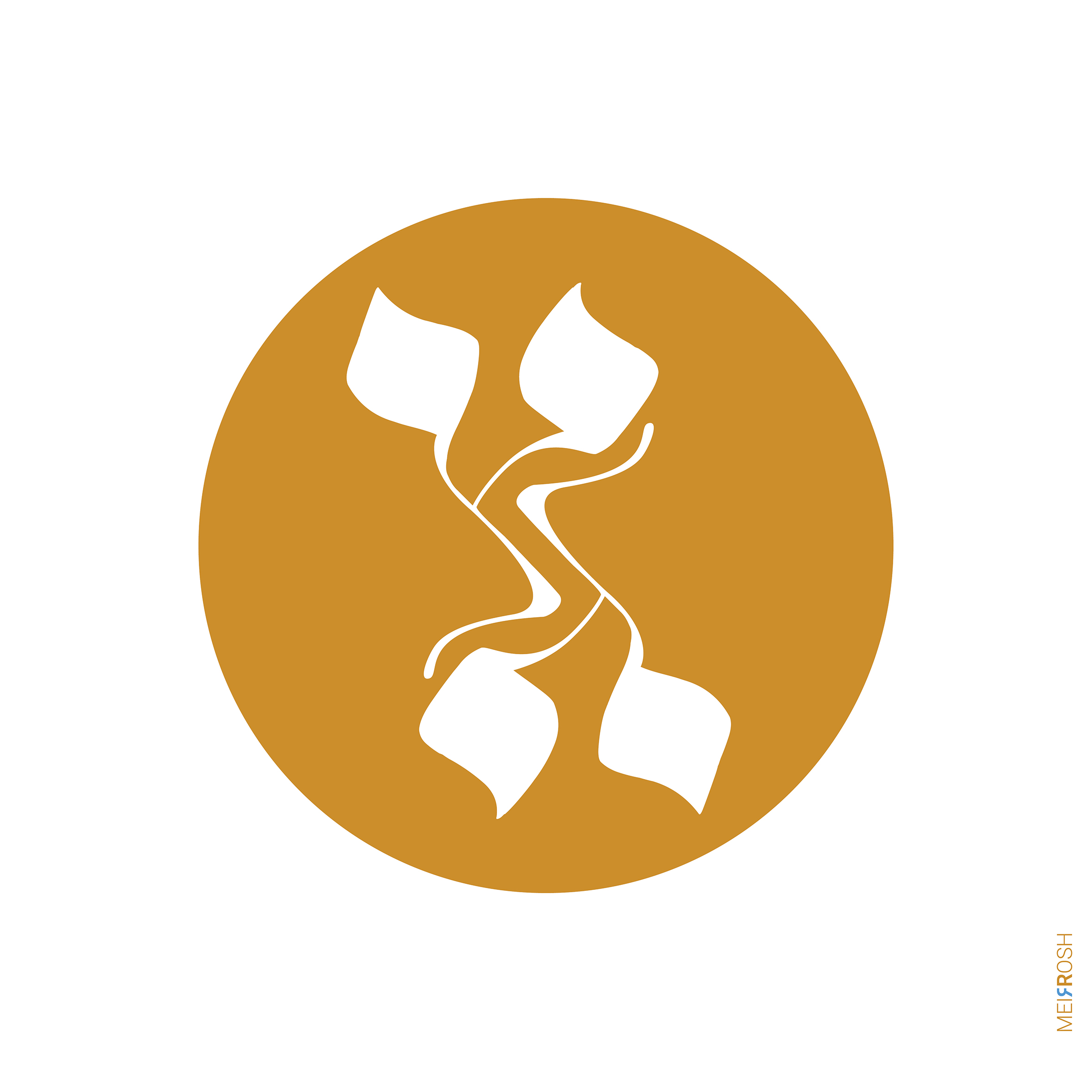 אלפא ביתא דרבי מאיר משקל דקיק אומנותי3.jpg