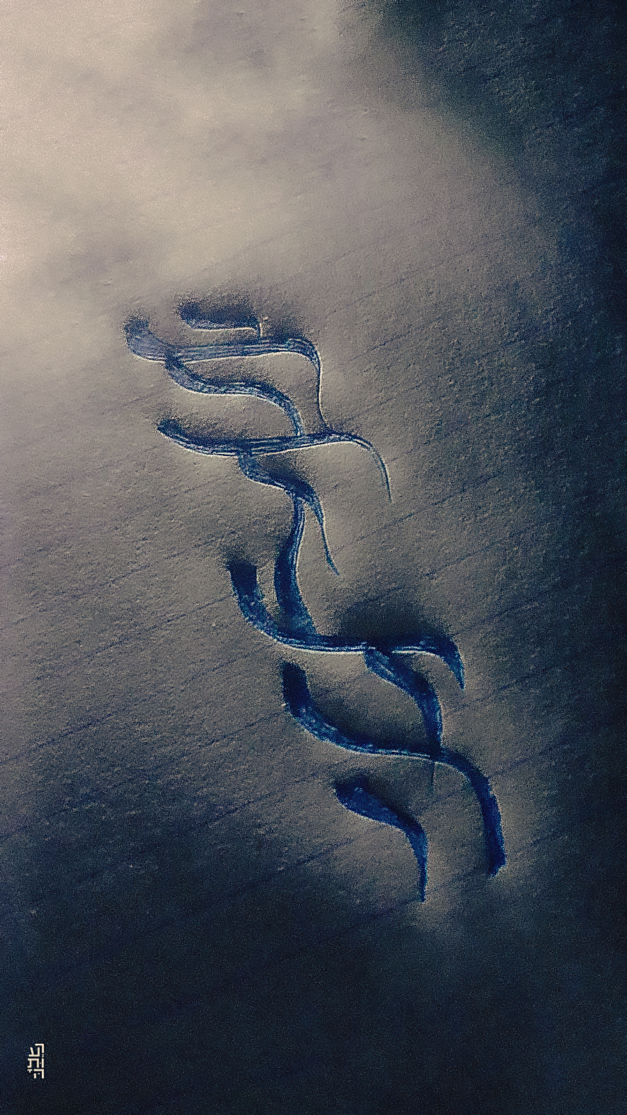 אלפא רעותה.jpg