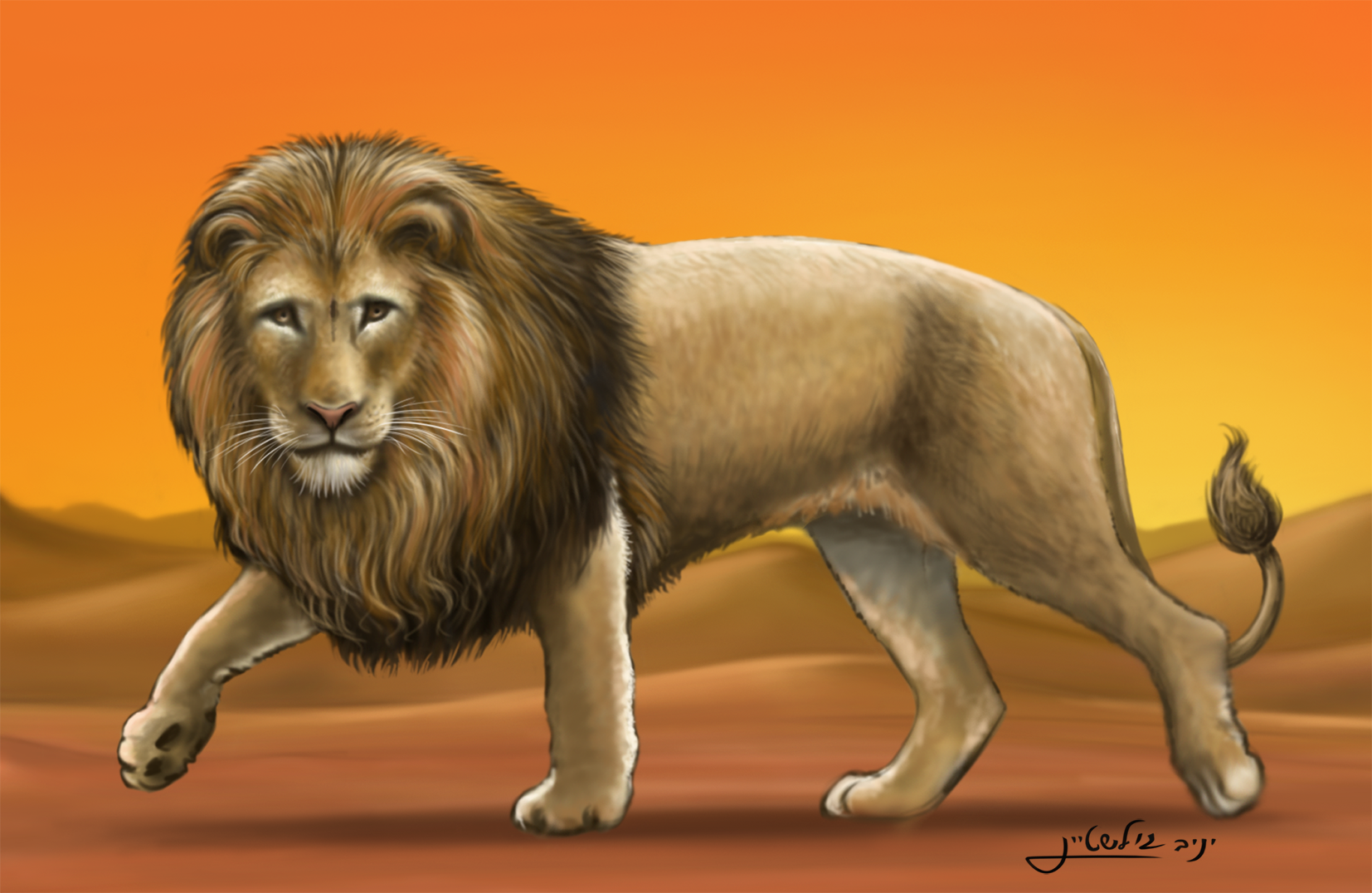 אל תירא ישראל.png