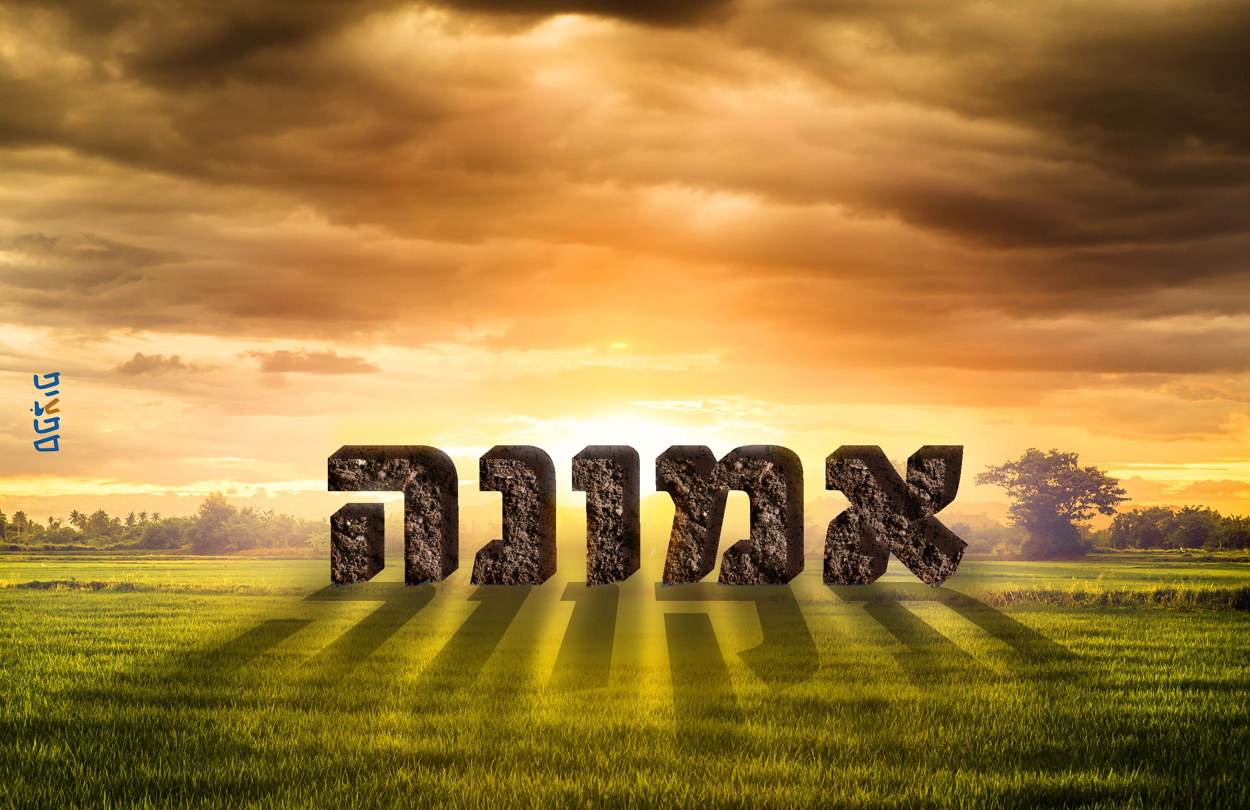 אמונה תקווה.jpg