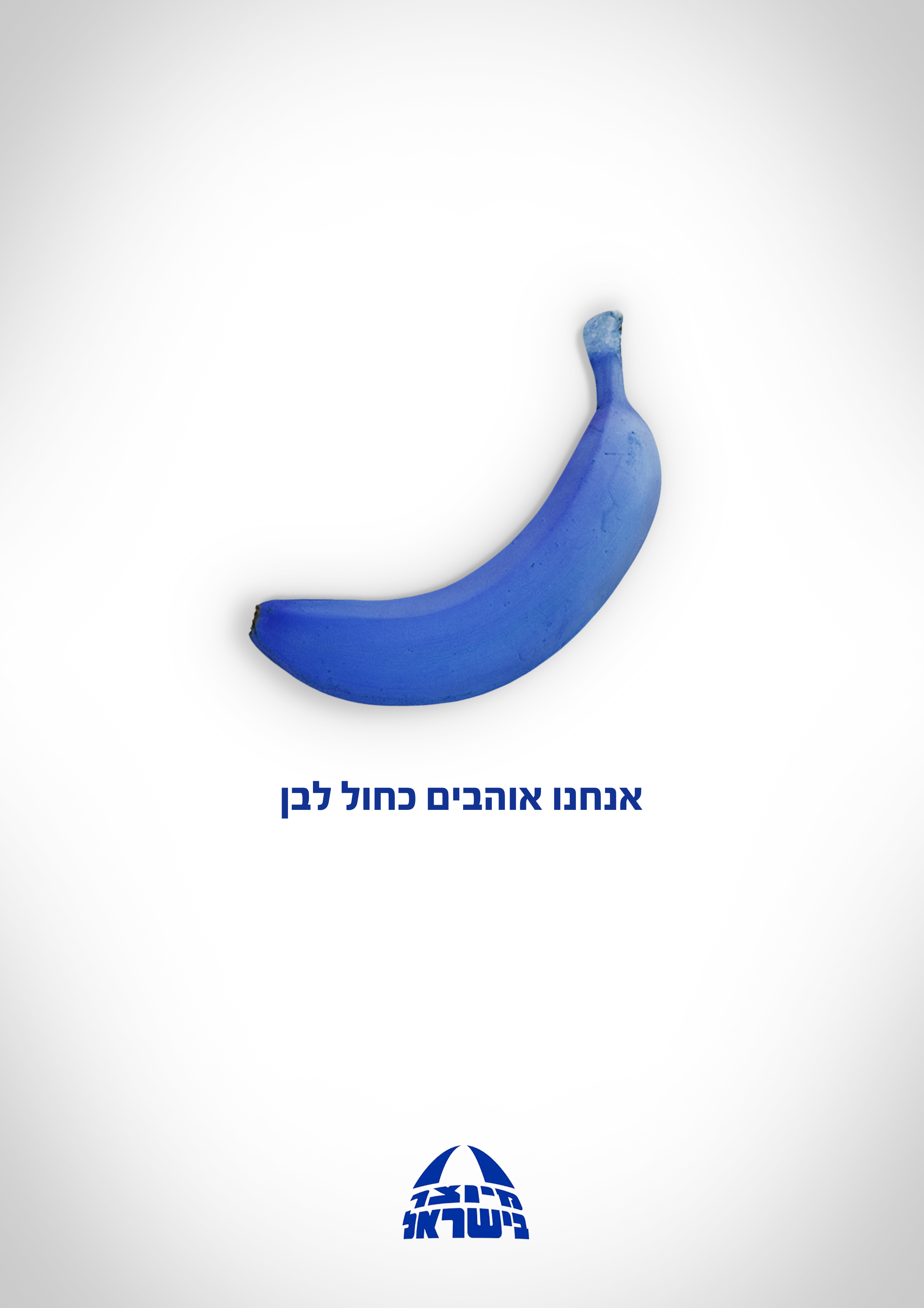אנחנו אוהבים כחול לבן.jpg