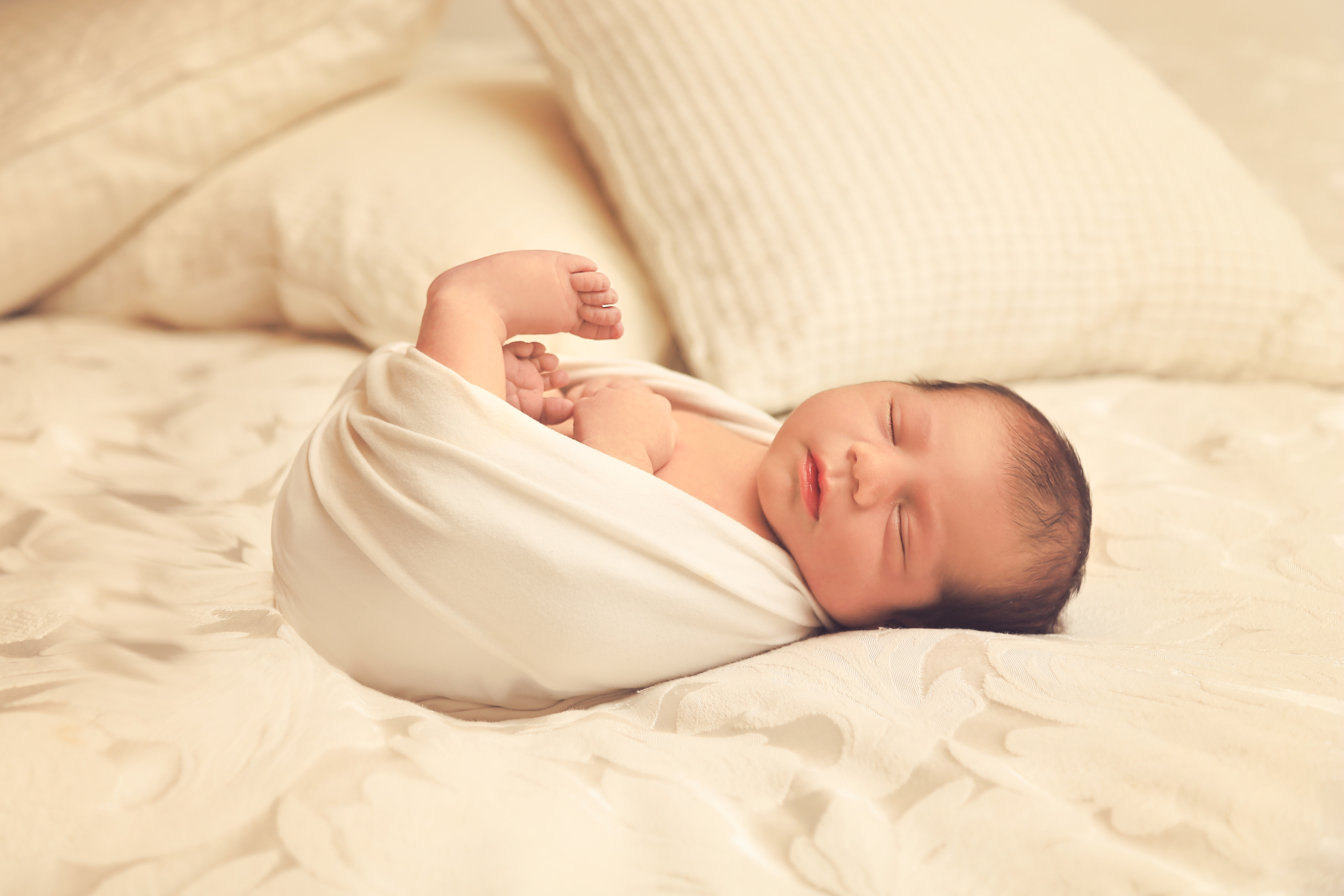 אנני 2 נוסף.jpg