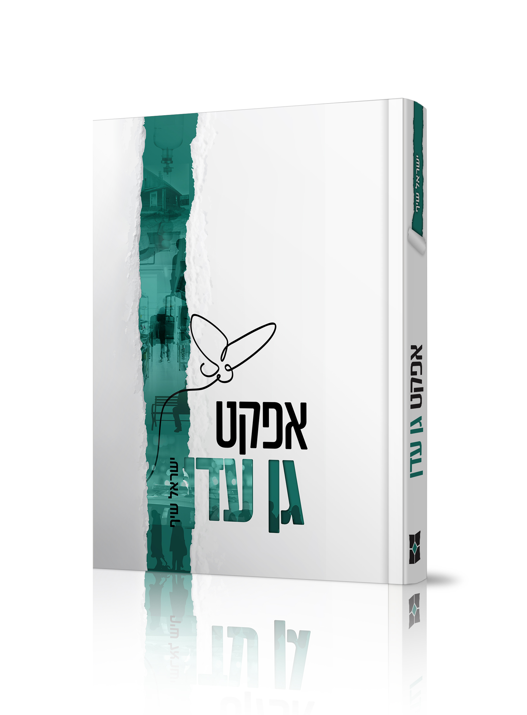 אפקט הדמיה 2.jpg