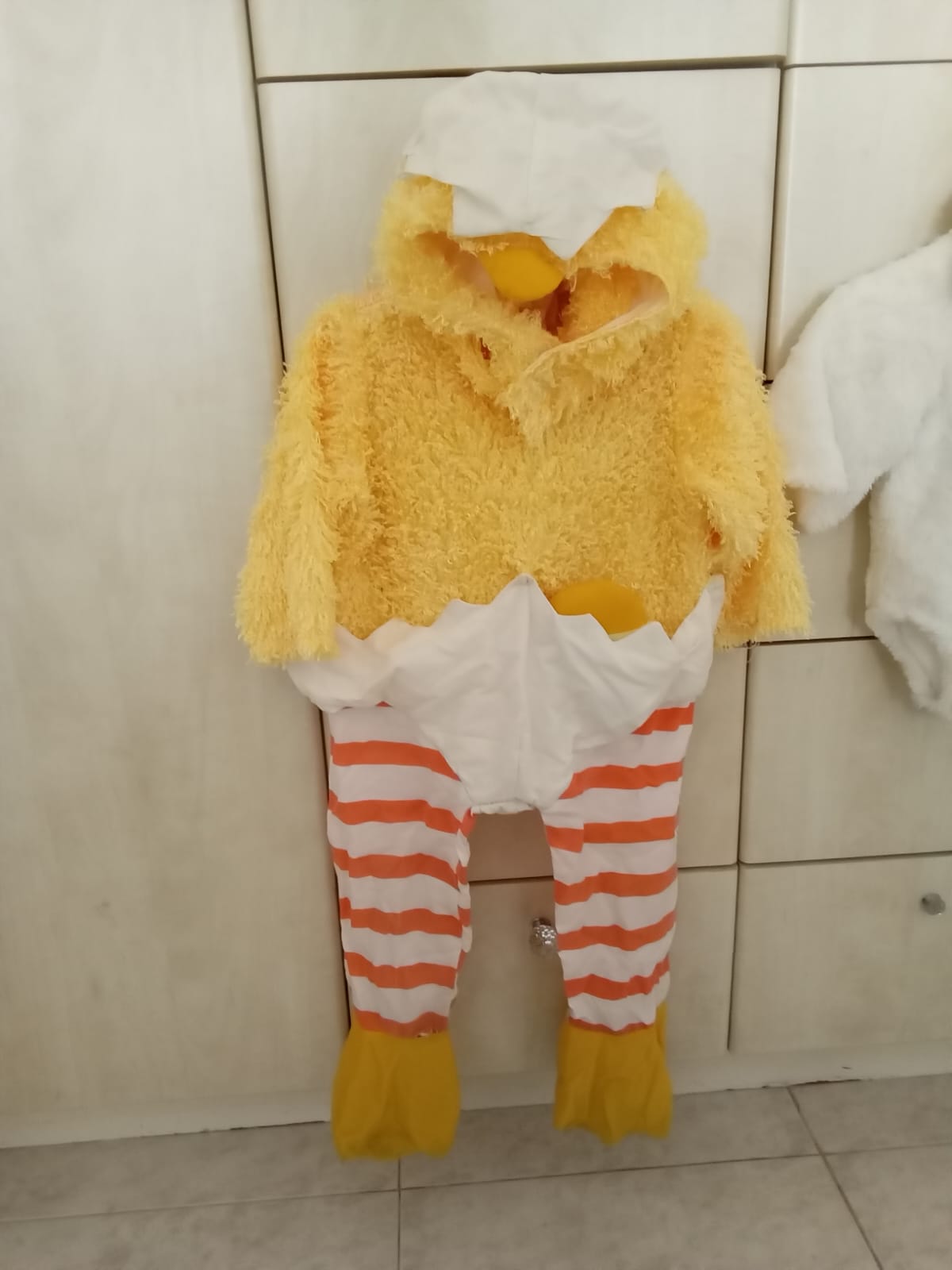 אפרוח גיל 2-3.jpg