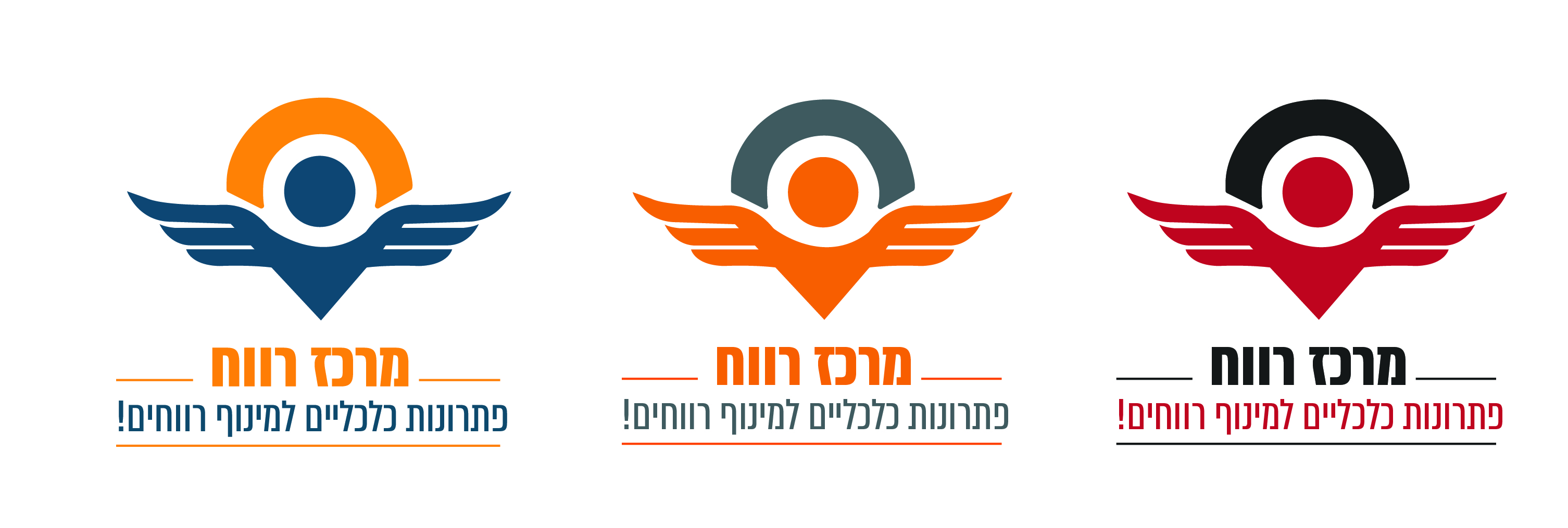 אפשרויות צבעים-01 (1).jpg