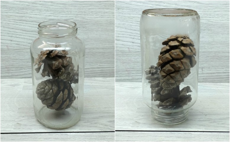 אצטרובל (10).jpg