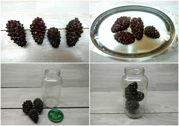 אצטרובל (8).jpg