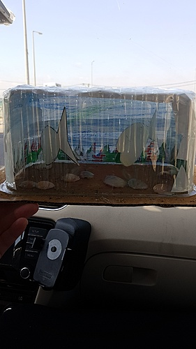 אקווריום מקופסת איגלו.png