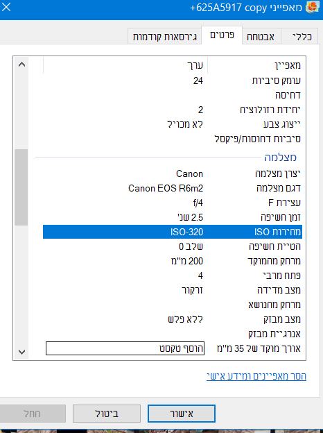 אקזיף.jpg