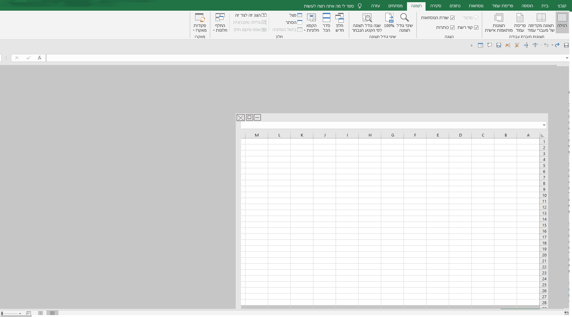 אקסל בתוך אקסל.png