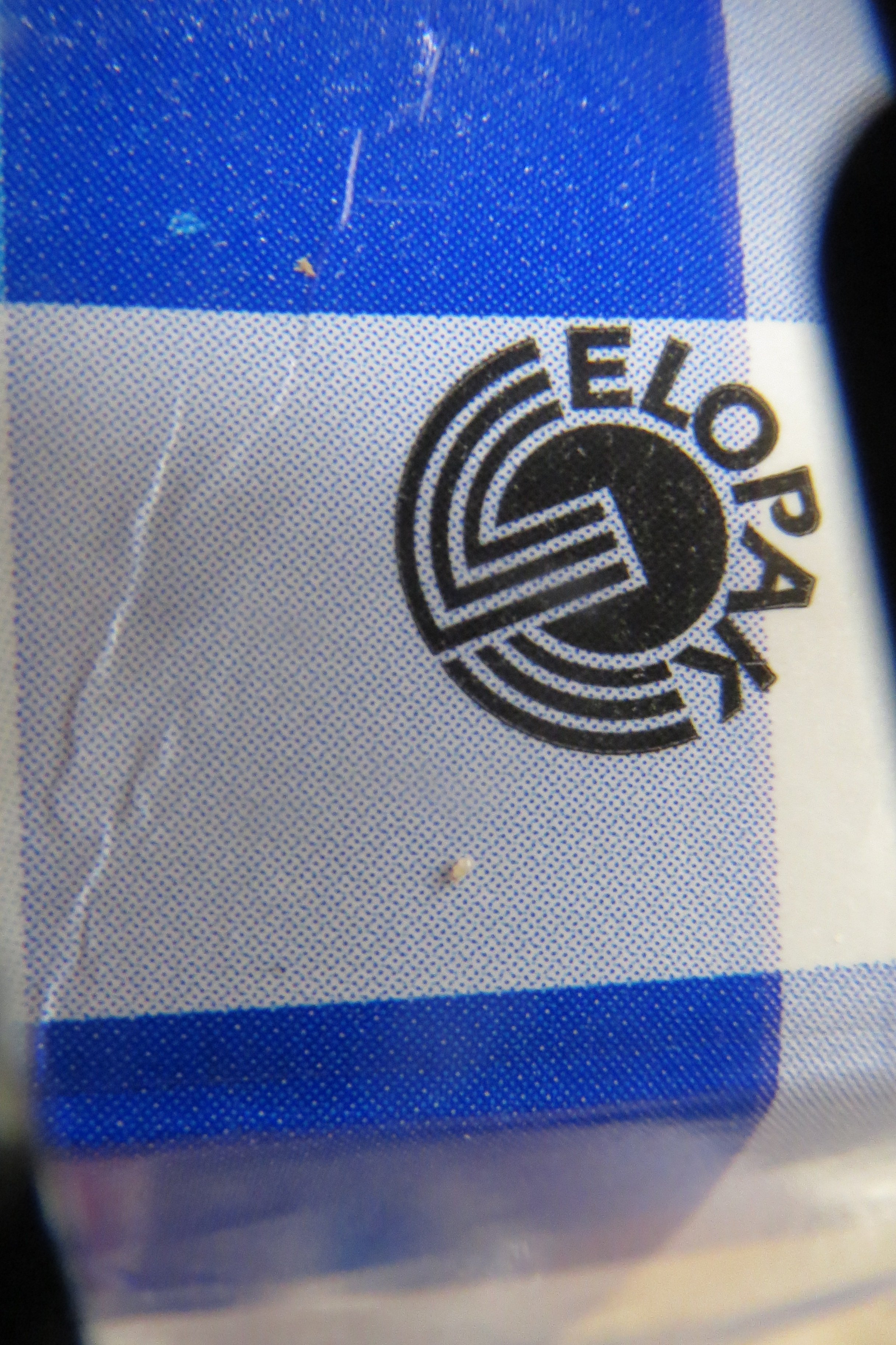 אקריות חלב 1.JPG