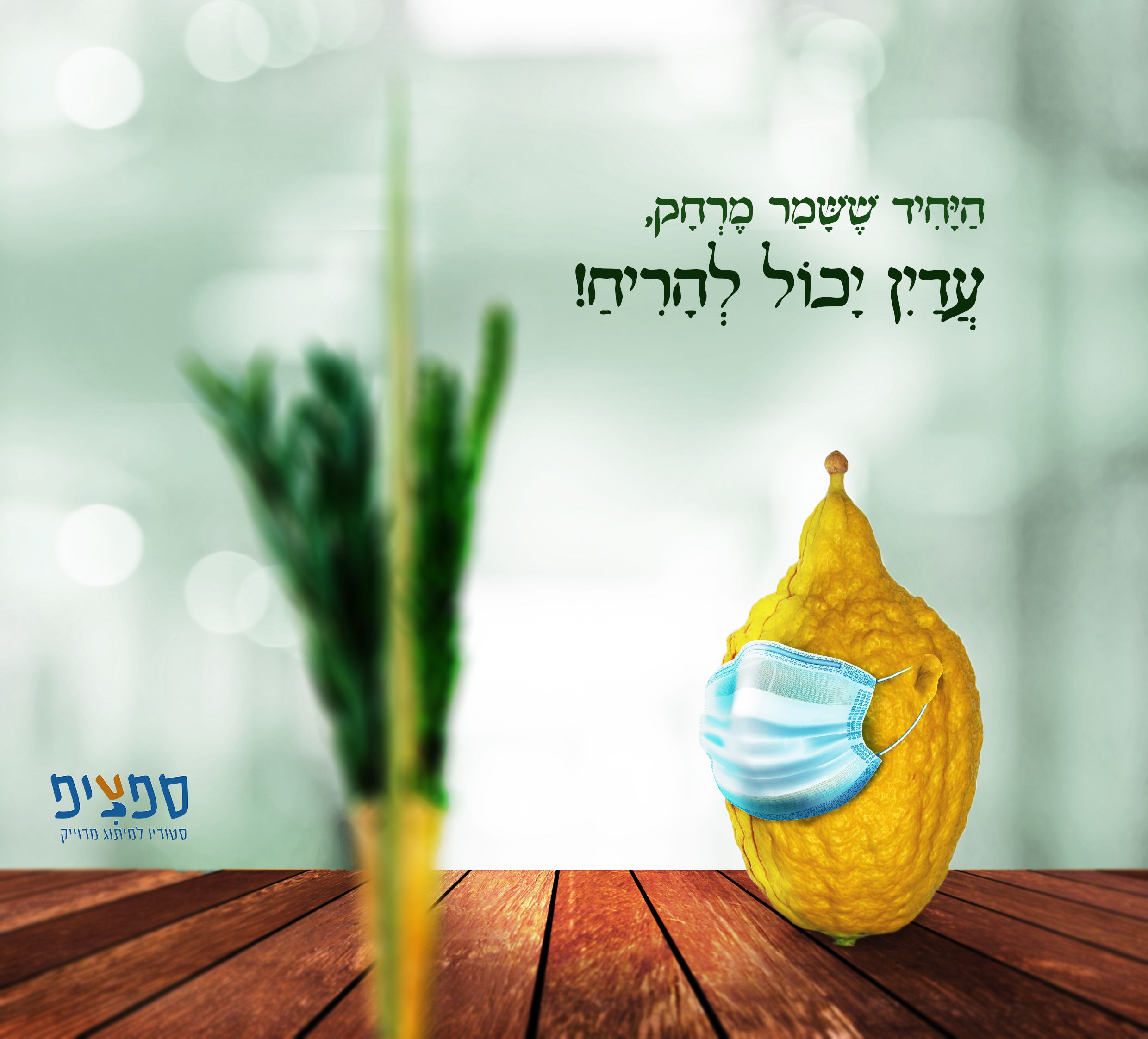 ארבע מינים.jpg