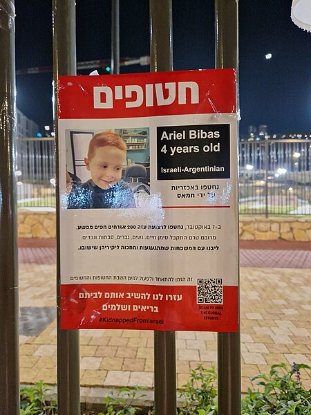 אריאל ביבס.jpg