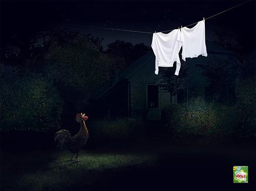 אריאל לכביסה.jpg