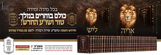 אריה ליש.png טיזר.png