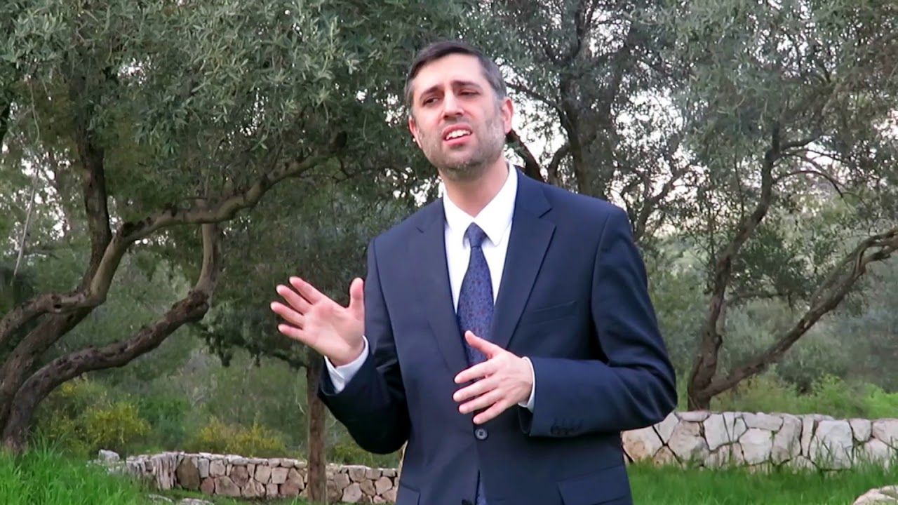 ארי גולדוואג - בטחו.jpg