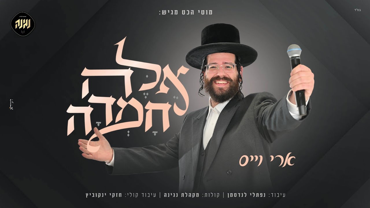 ארי וייס - אלה חמדה.jpg